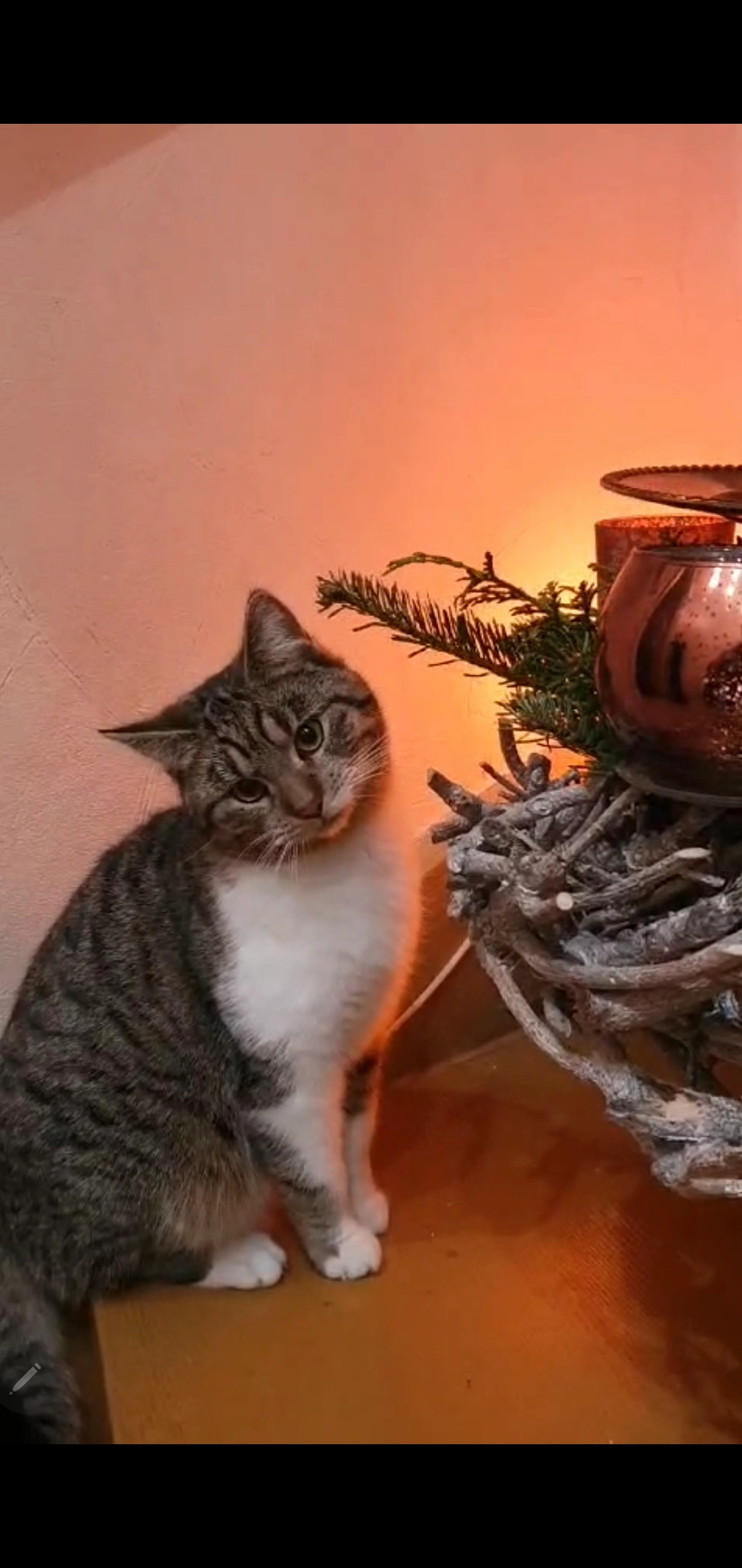 NALA - Blankenfelder Straße 9, Ludwigsfelde