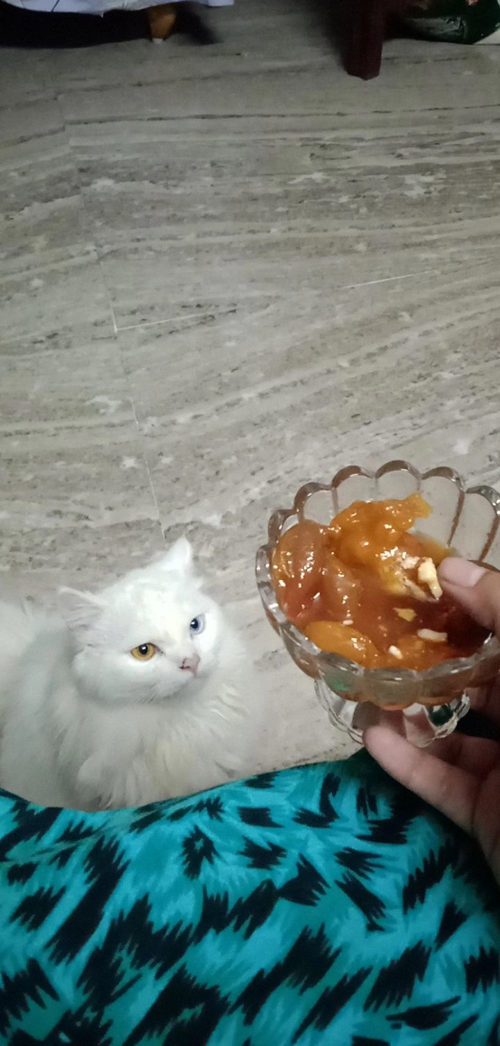 Lucifer  - Shaikpet Main Road, Manikonda