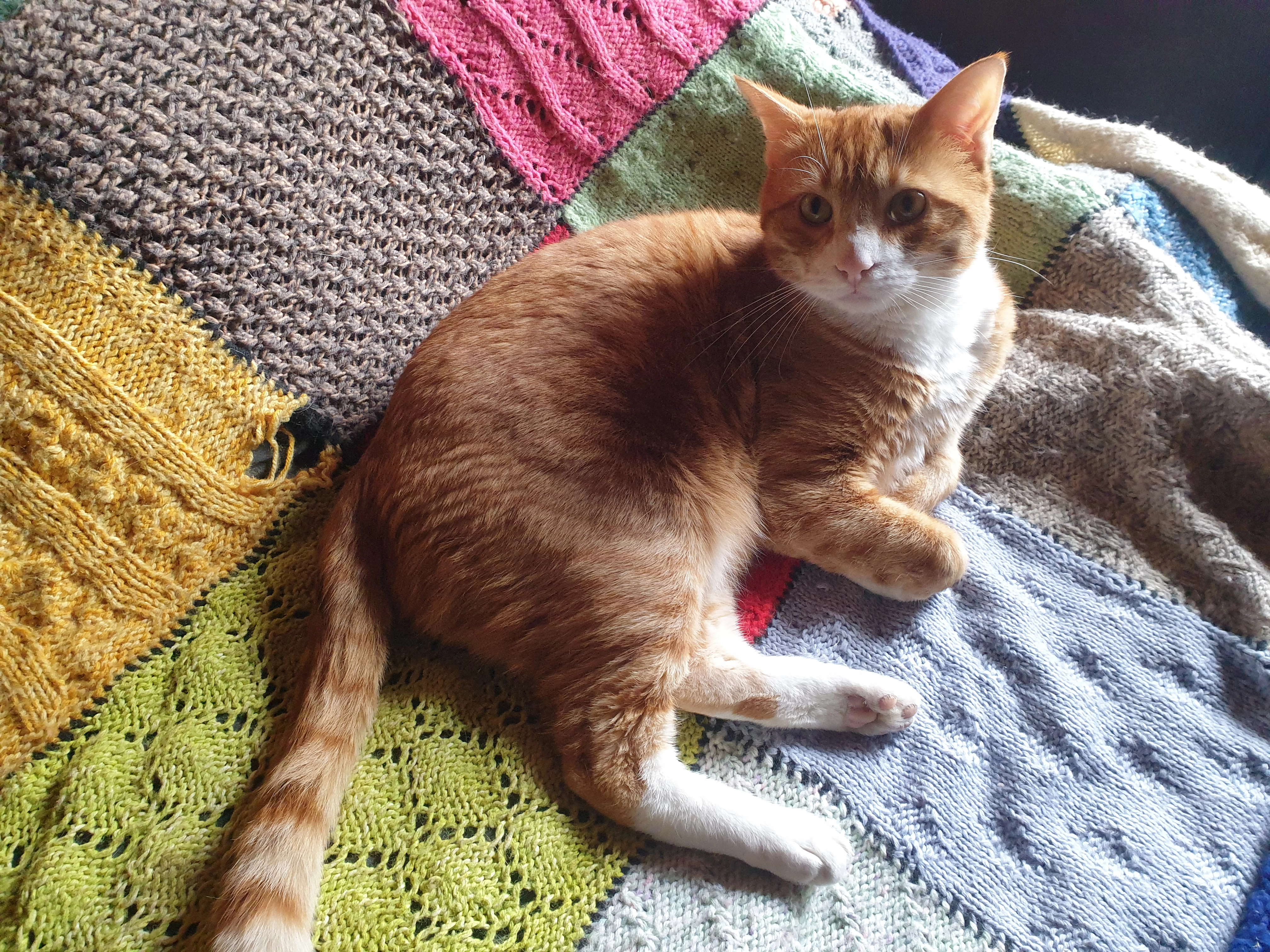 Karlo - Am Krautgarten, Schwabhausen