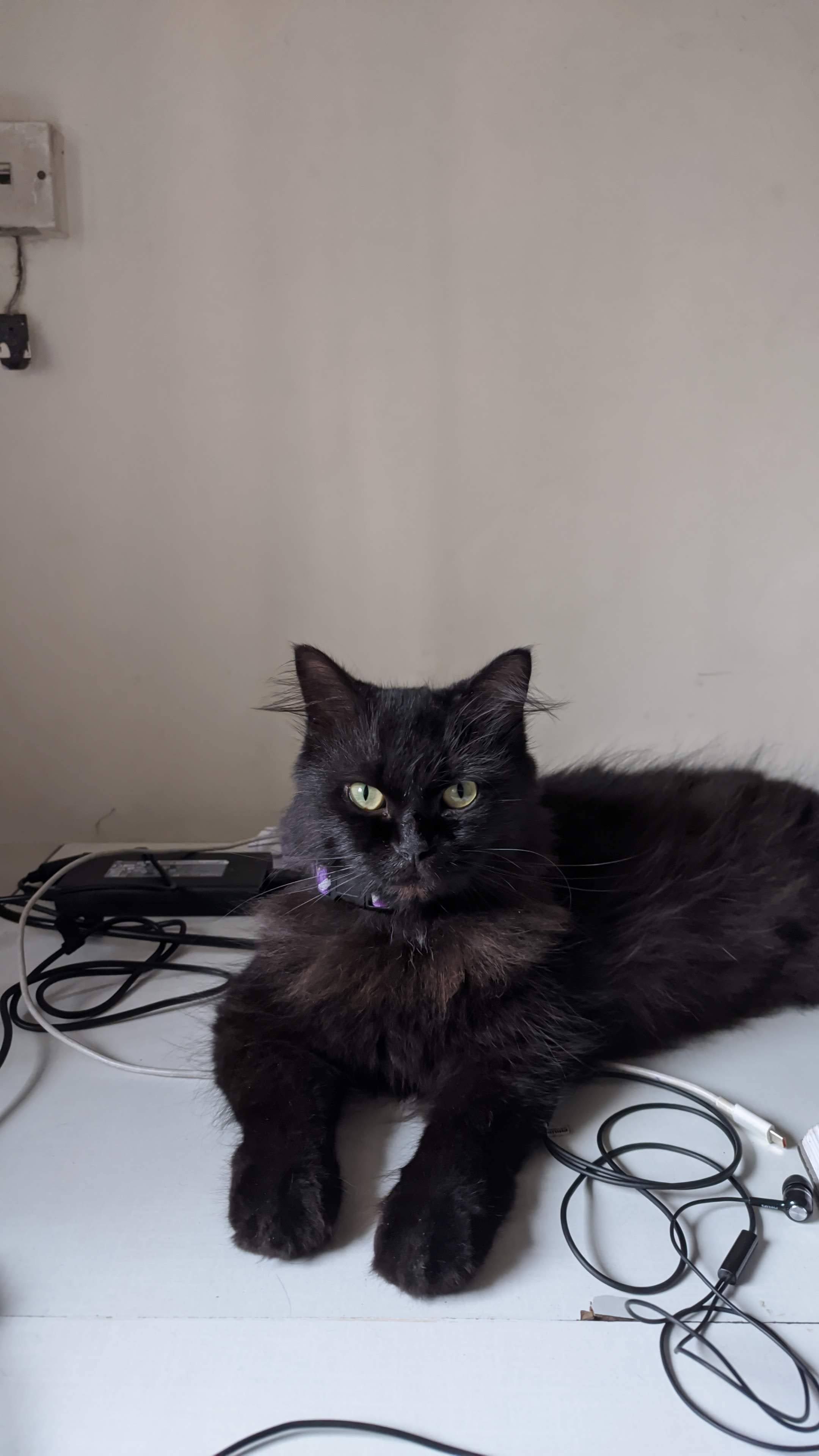 Mojo - Aarey Road, Mumbai