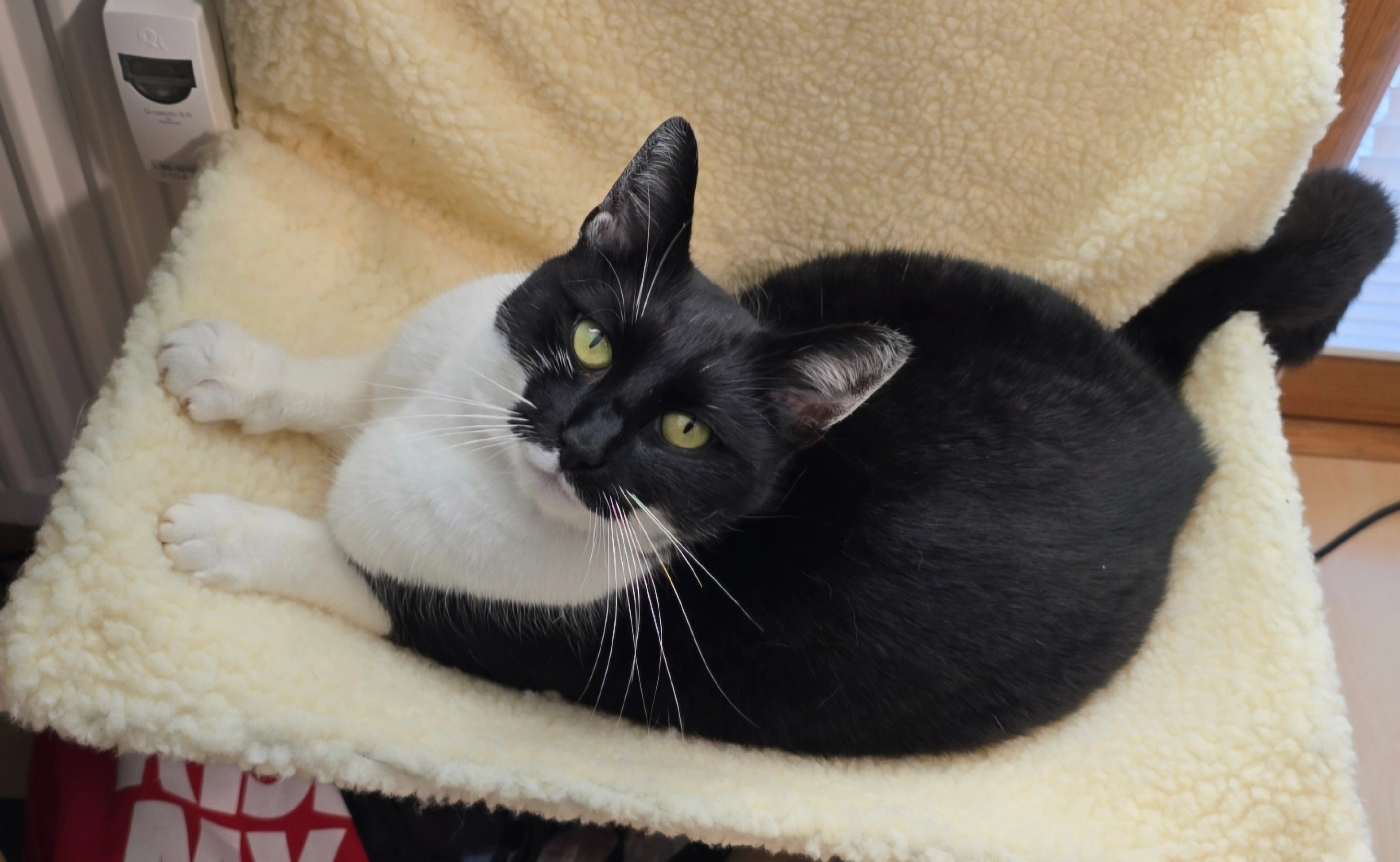 Mila - Eichenstraße, Schonungen