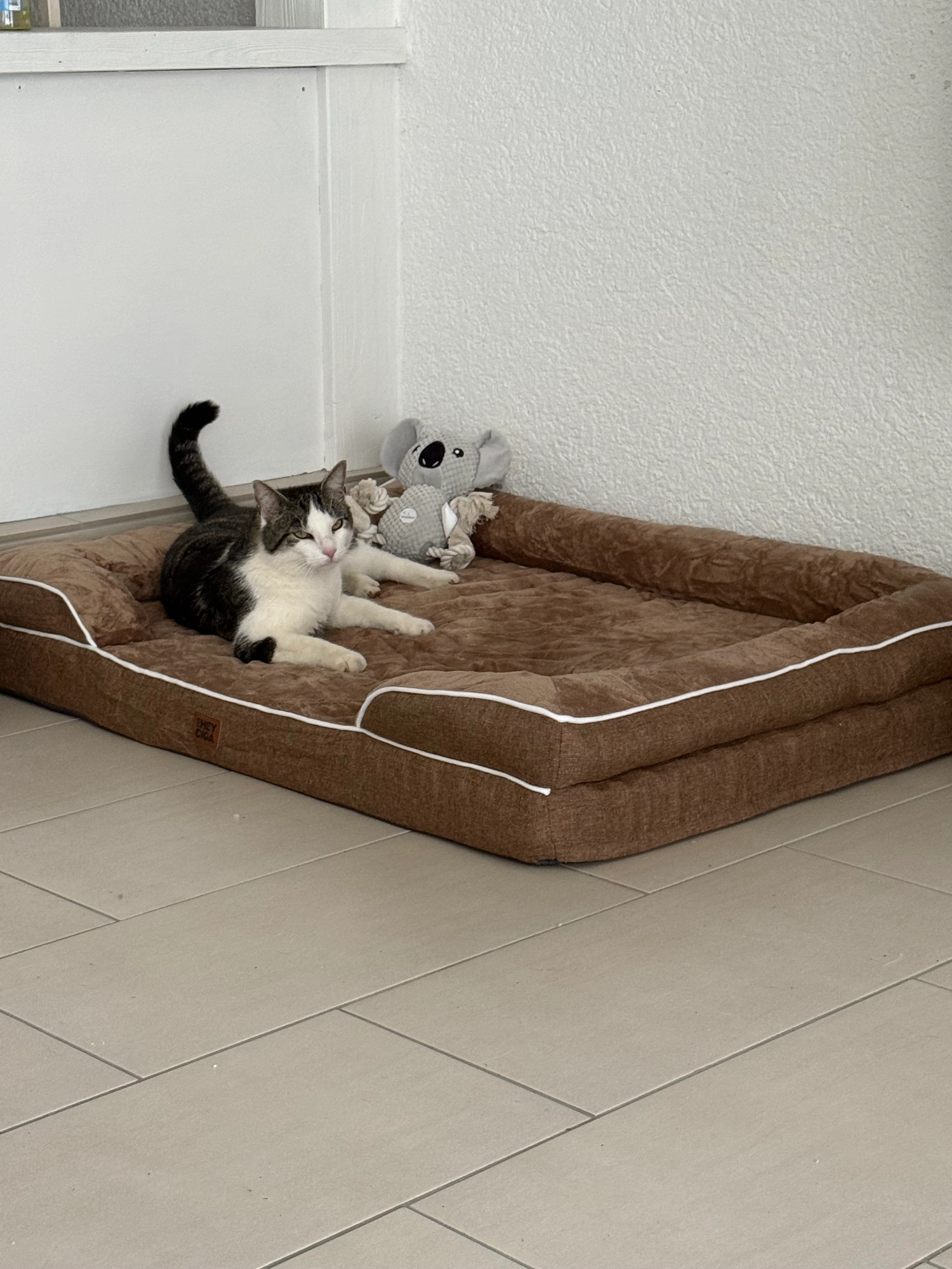 Balu - Lembergstraße, Sulz am Neckar