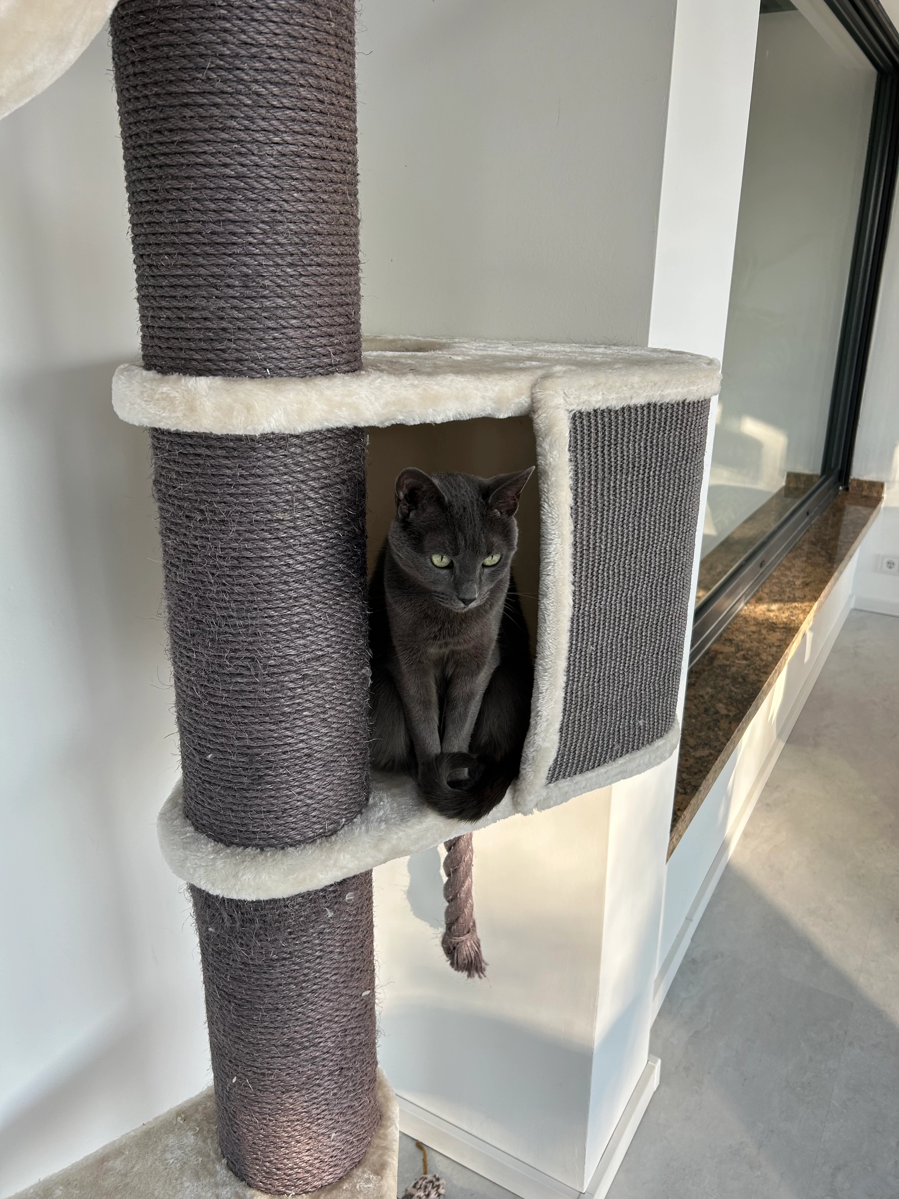 Whisky - Keltenstraße, Oberhausen