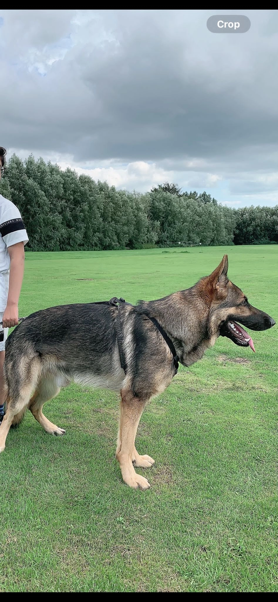 Apex - Huddersfield Road, Bradford