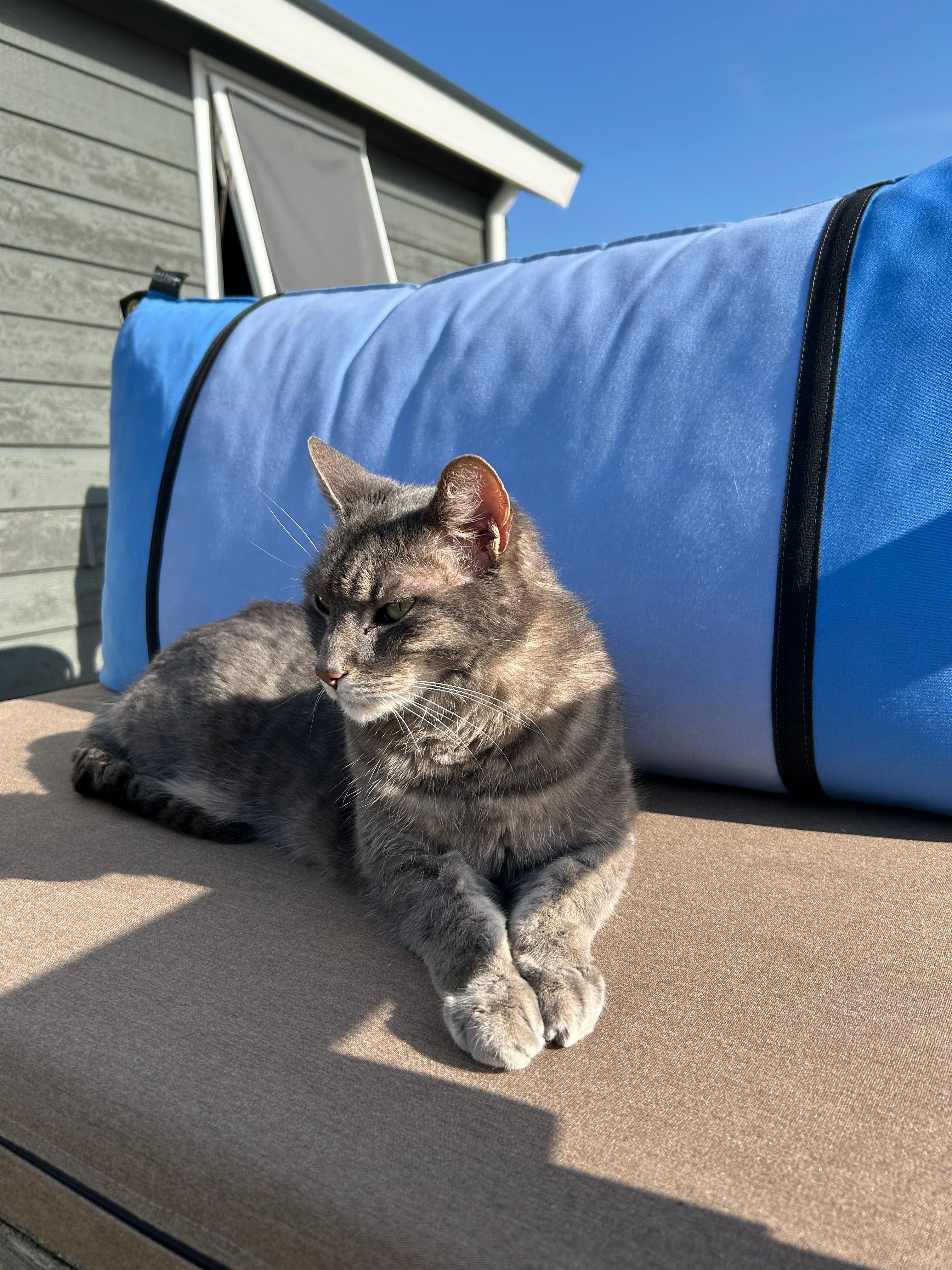 Lau - Rommelpot, Den Hoorn