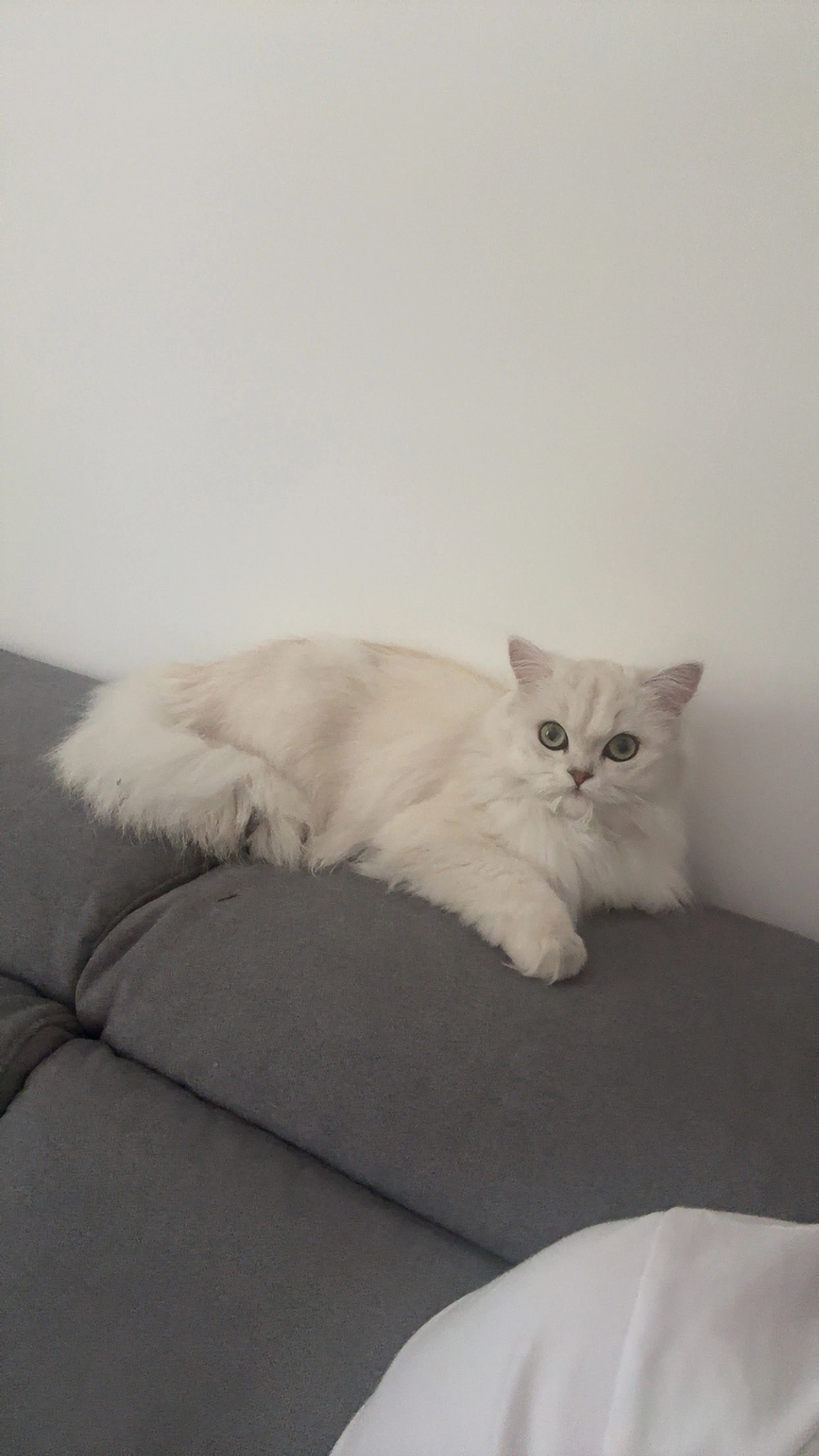 Bora - Sankt-Ingbert-Straße, Nürnberg