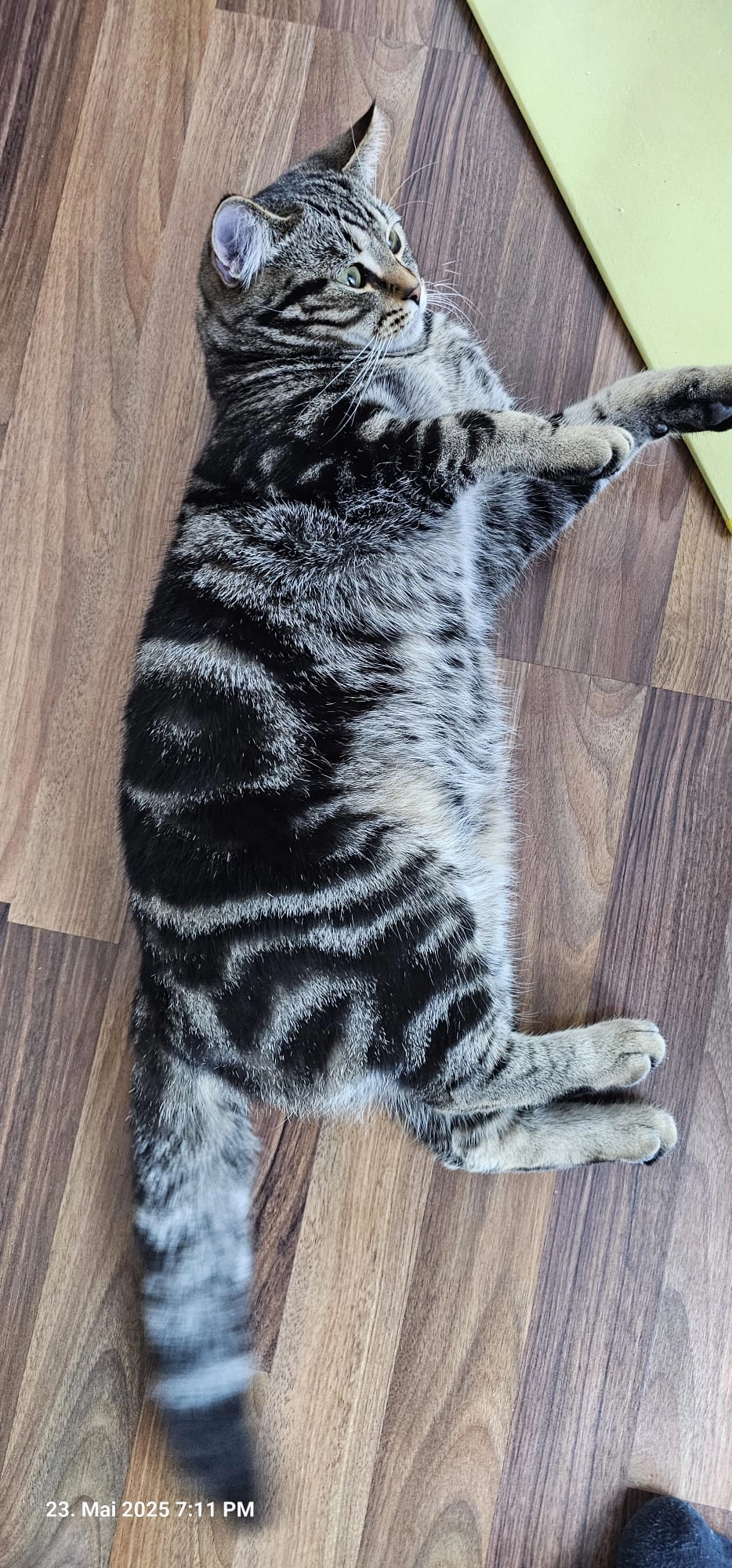 Kral - Hanfländerweg, Blaustein