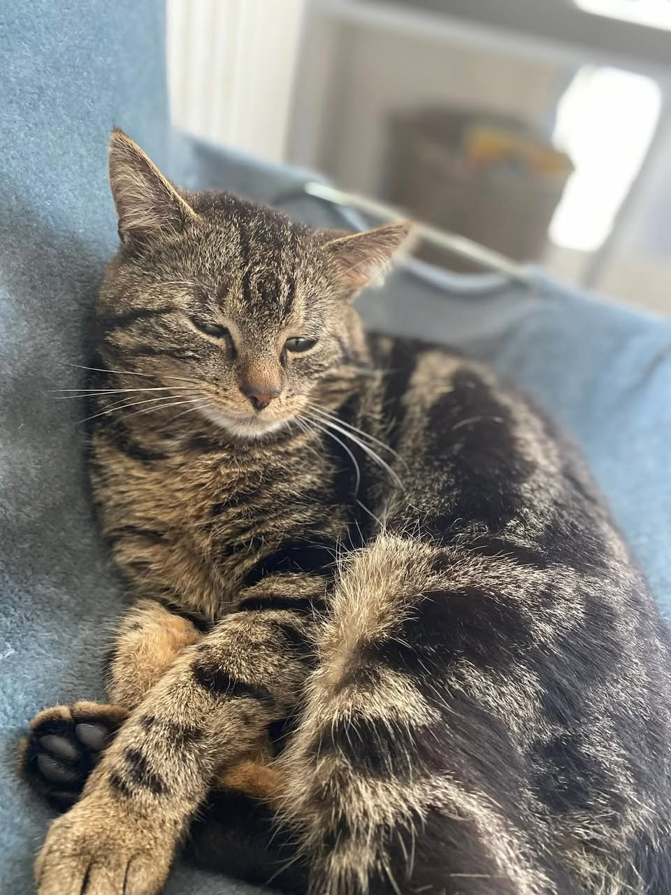 Rendo - Marten Ottenlaan, Meppel