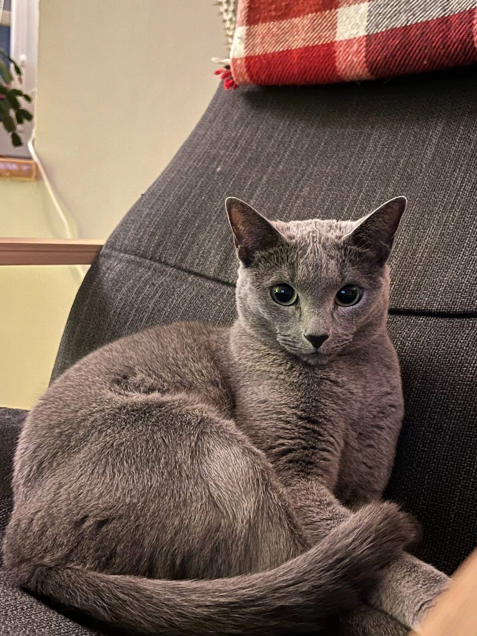 Chloya - Puutarhatie 13, Vantaa