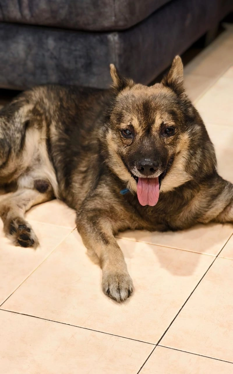 Romeo - Jalan Kemuning, Klang