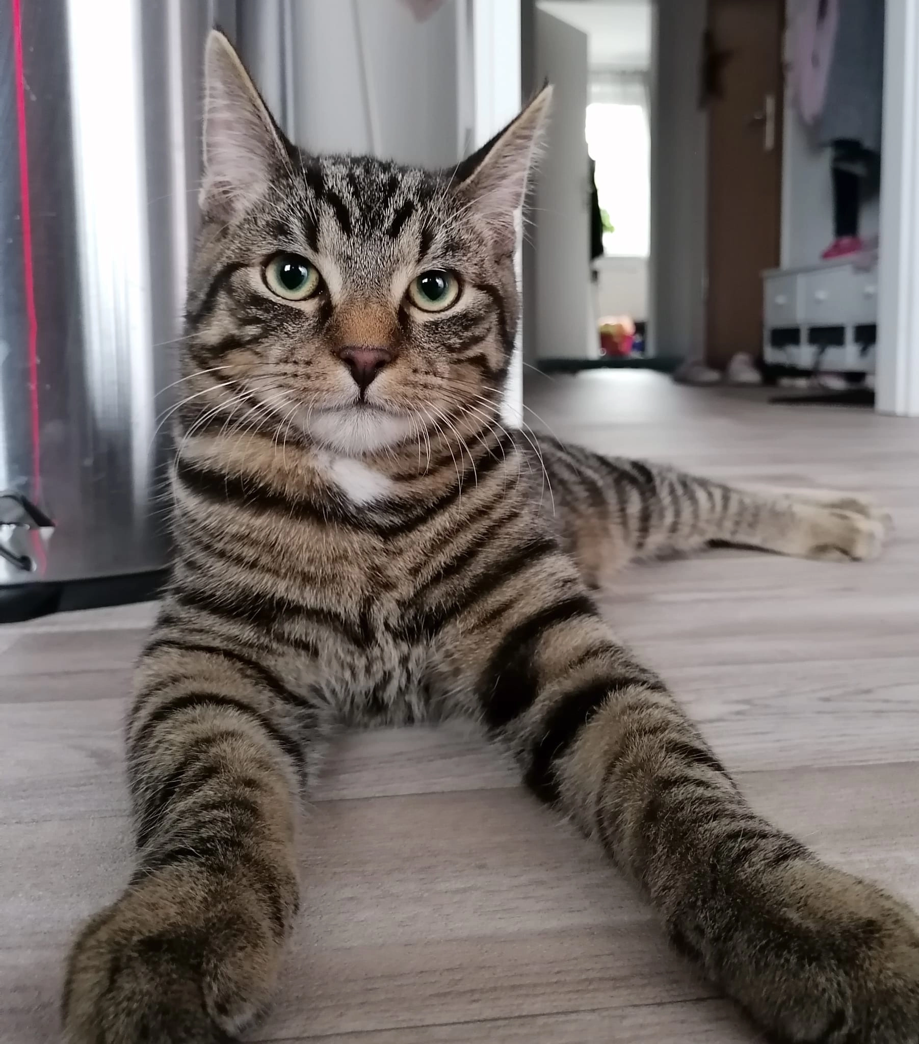 Leo - Otto-Grotewohl-Straße, Lübbenau/Spreewald