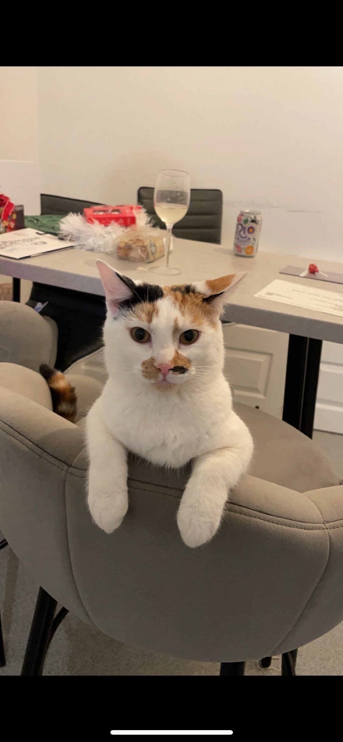 Lila - Northcourt Road, Abingdon-on-Thames