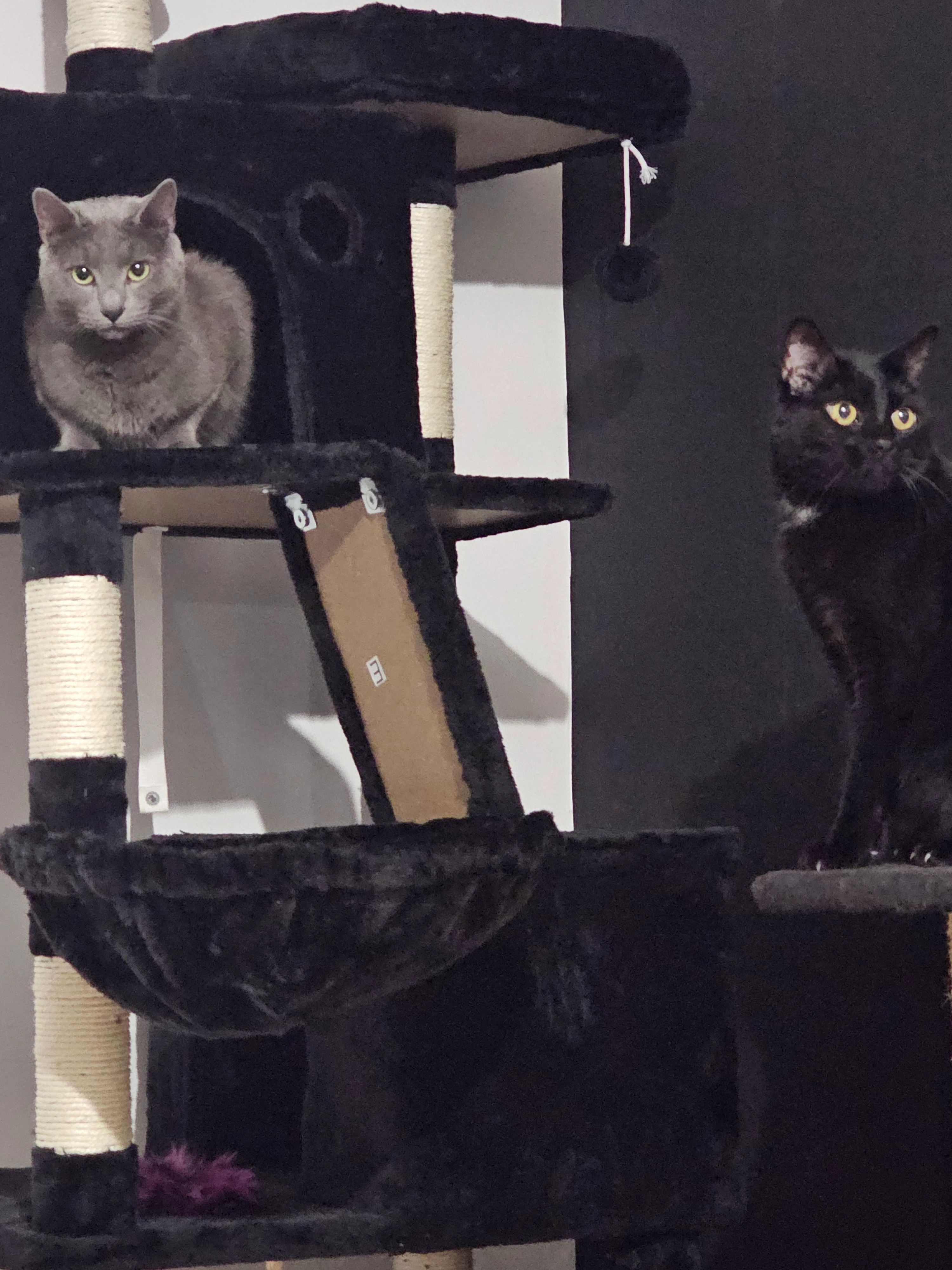 Griso - Avenue Du Général Leclerc, Nancy