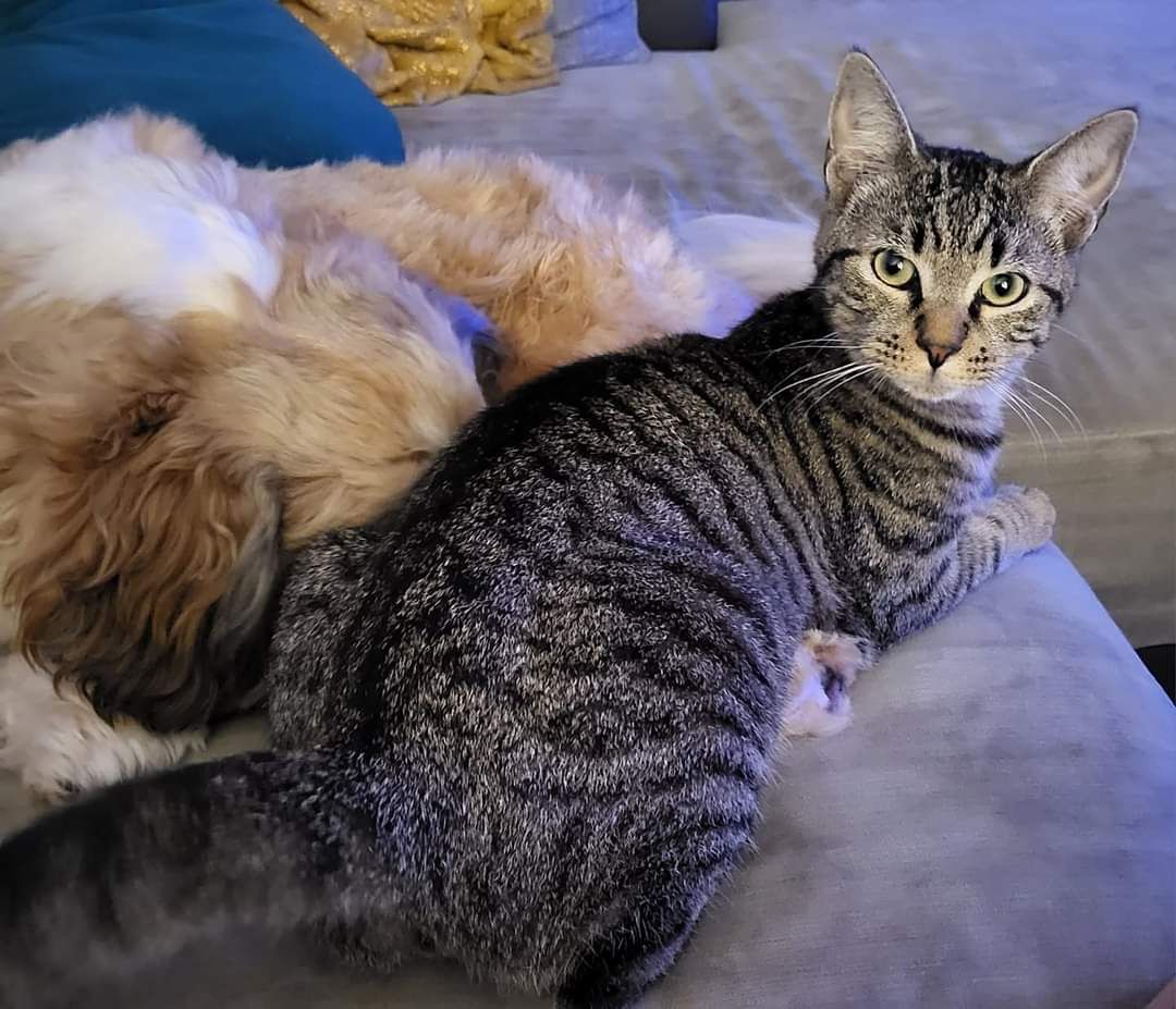 Tucky - 4 Rue Paul Langevin, Bergerac