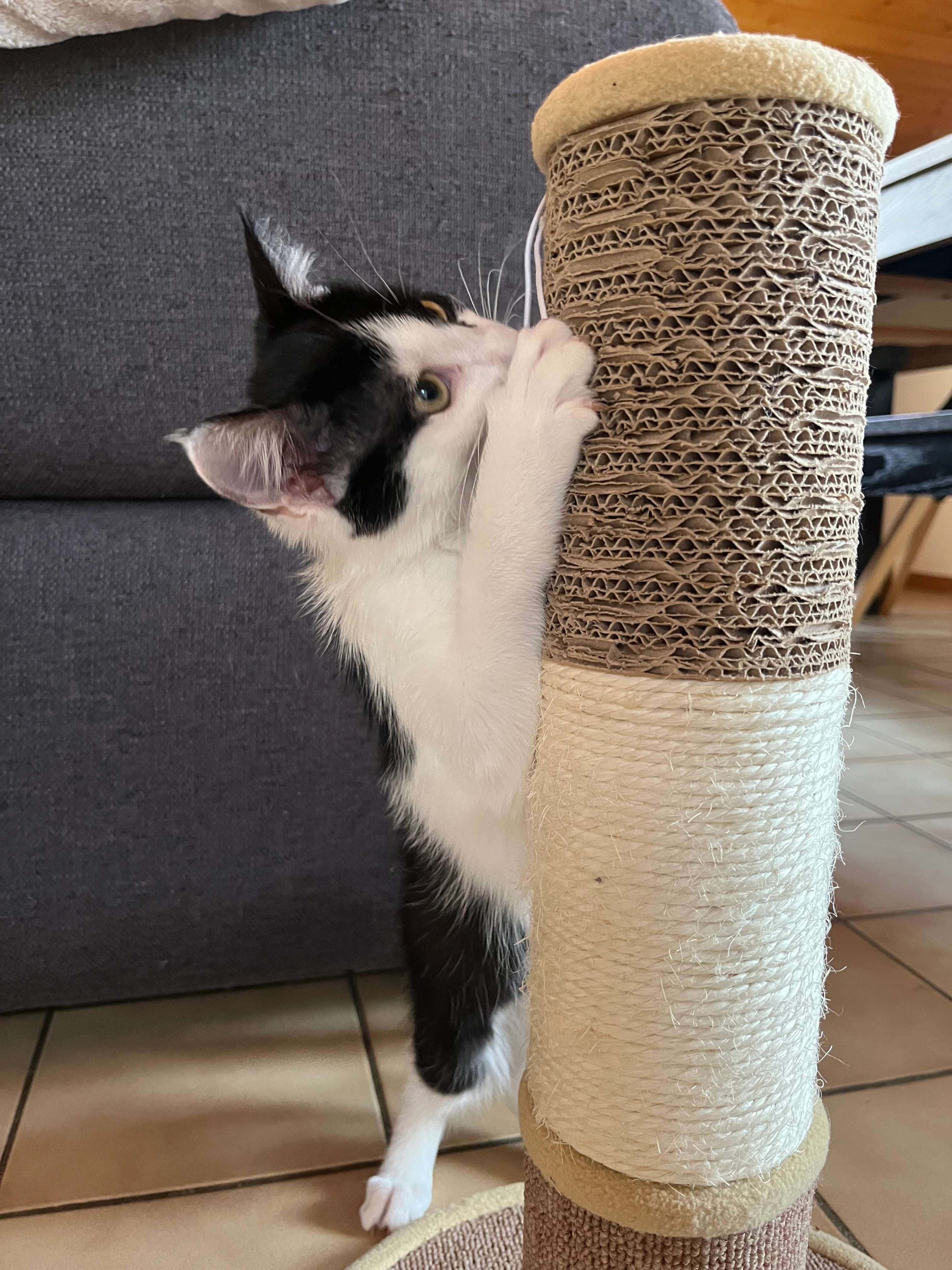 Michele  - Place du Château 16, Echichens