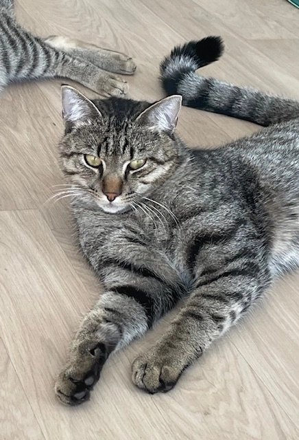 Loisl - Paulstraße, Ismaning