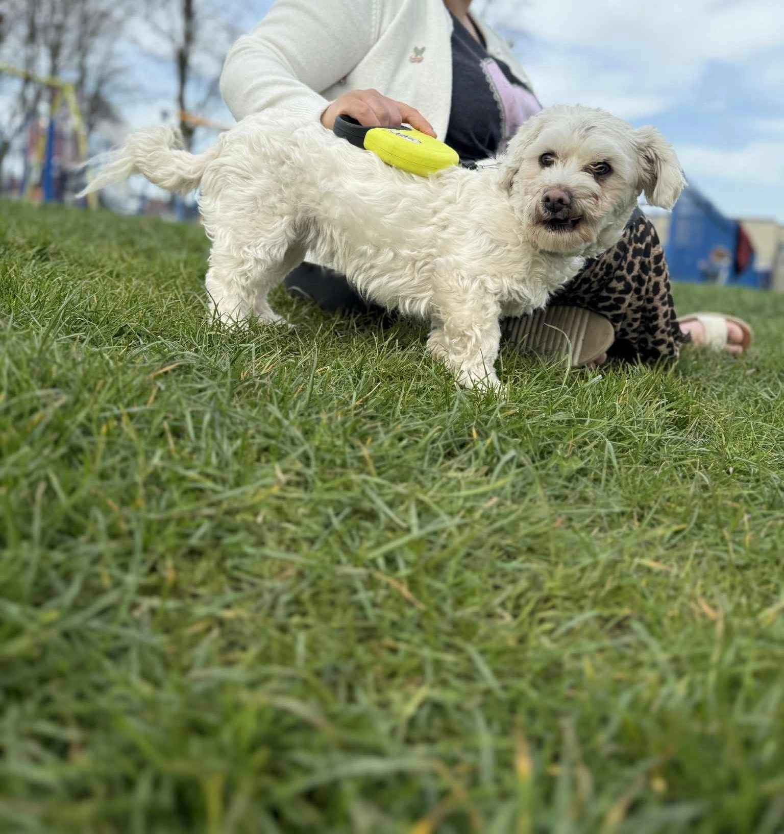 Roxi  - Durham Road, Birmingham