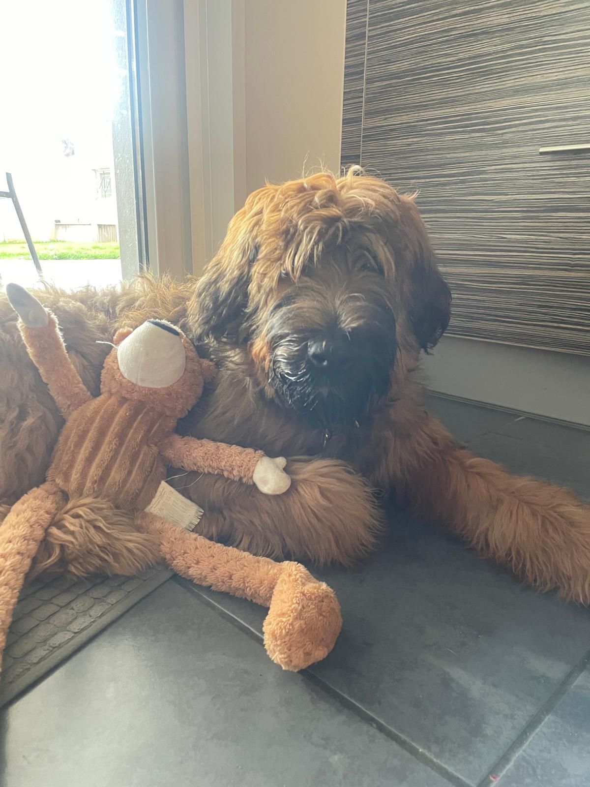 Vegas - 6 Impasse Rabelais, Cugnaux