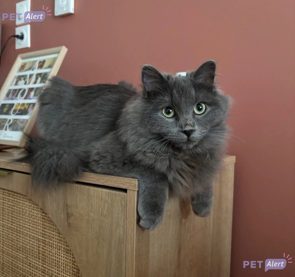 Adesse - Rue Jean Bodel, Arras