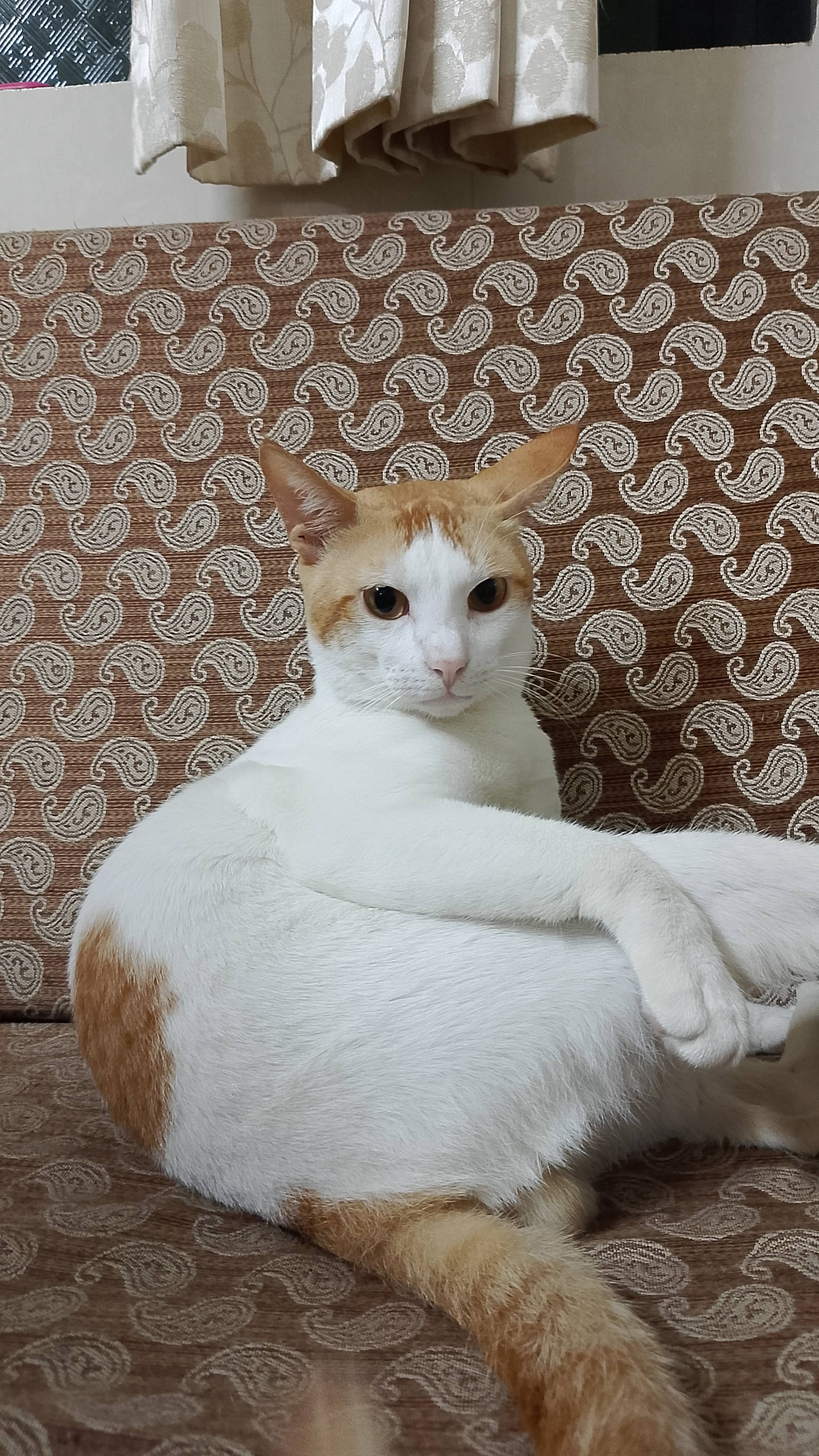 Pluto  - Rsc Road No. 49, Mumbai