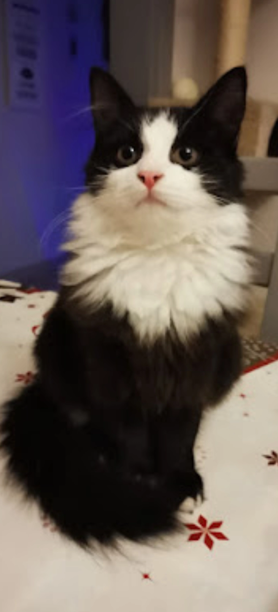 Minuit - 5 Impasse de Firminy, Porcelette