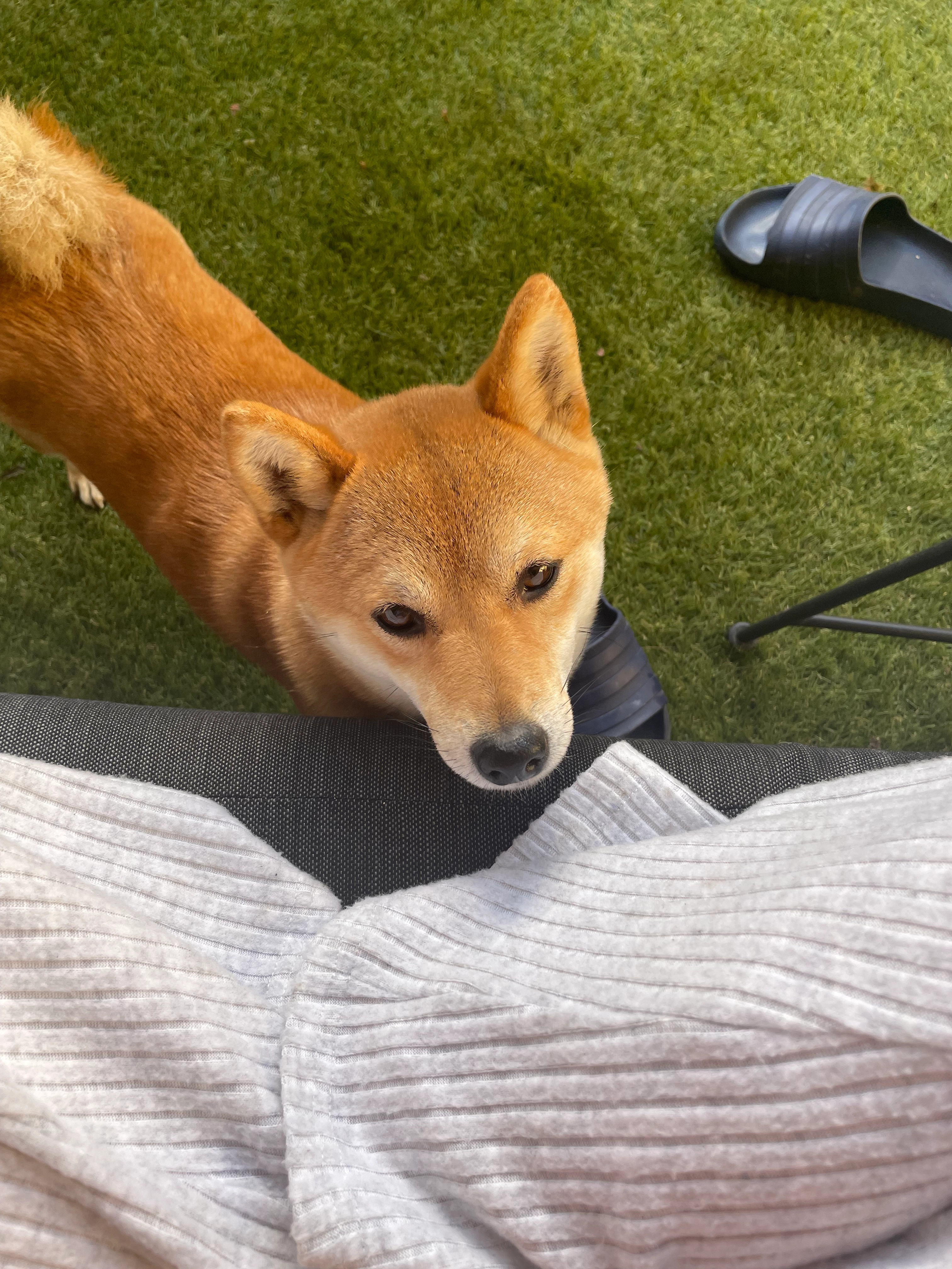 Vera - Rue Du Progrès, Aulnay-sous-Bois