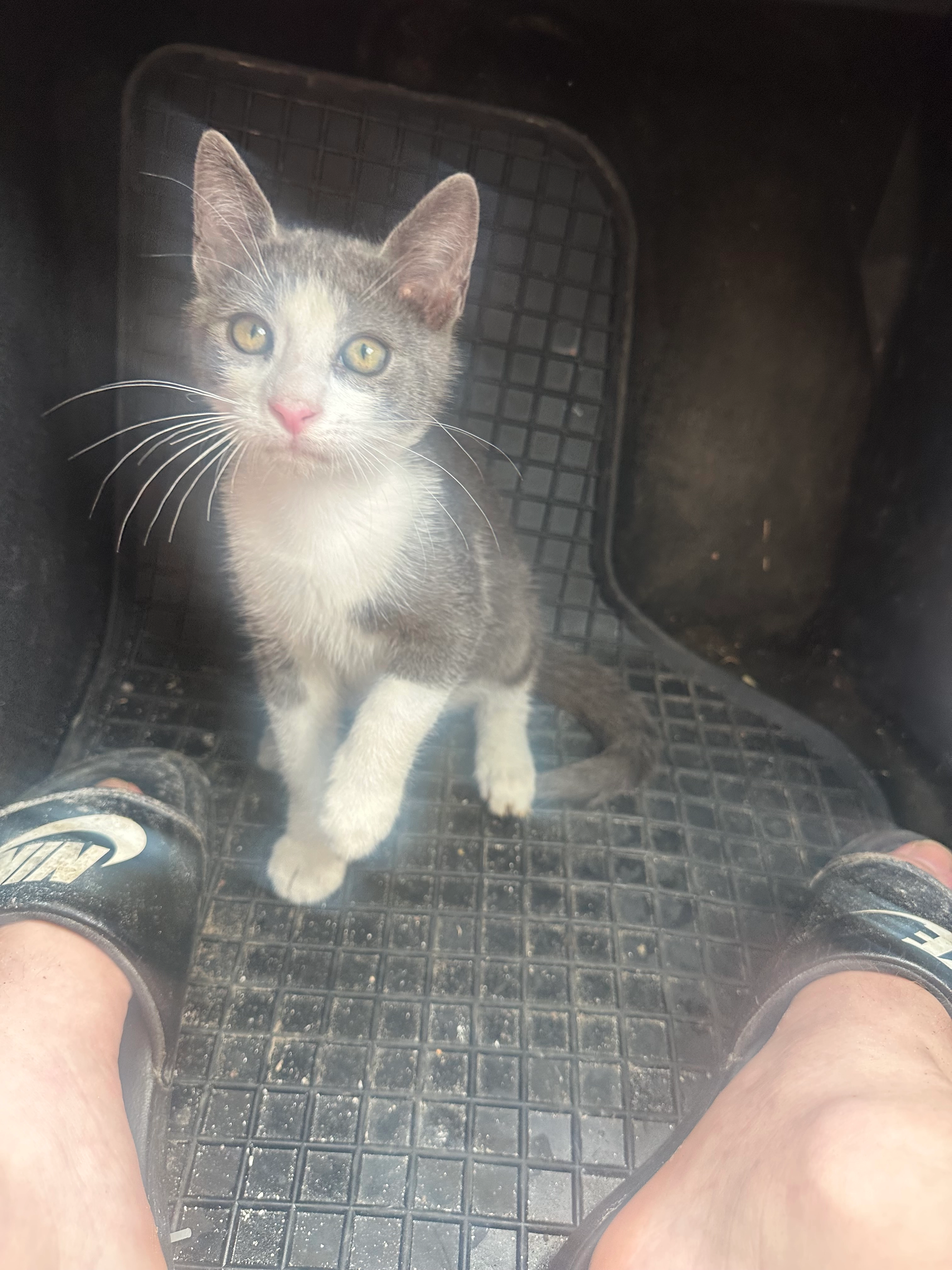 Broki - Vazduhoplovne Grupe, Bihać