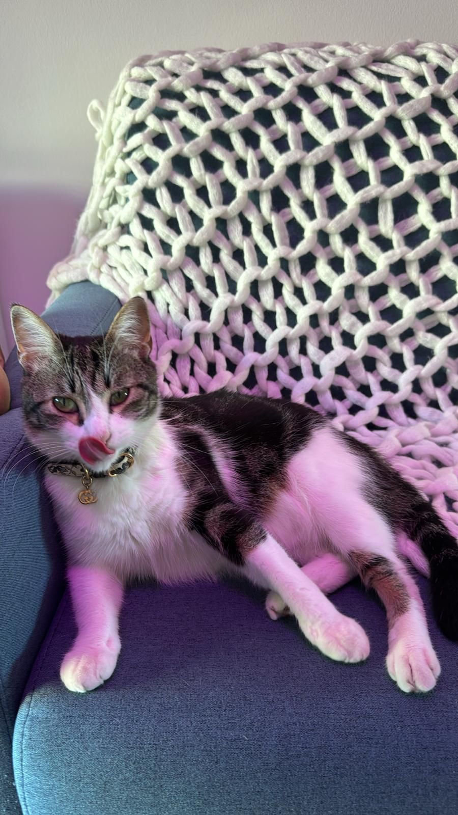 Ayo  - Rua Do Golfe, Cascais