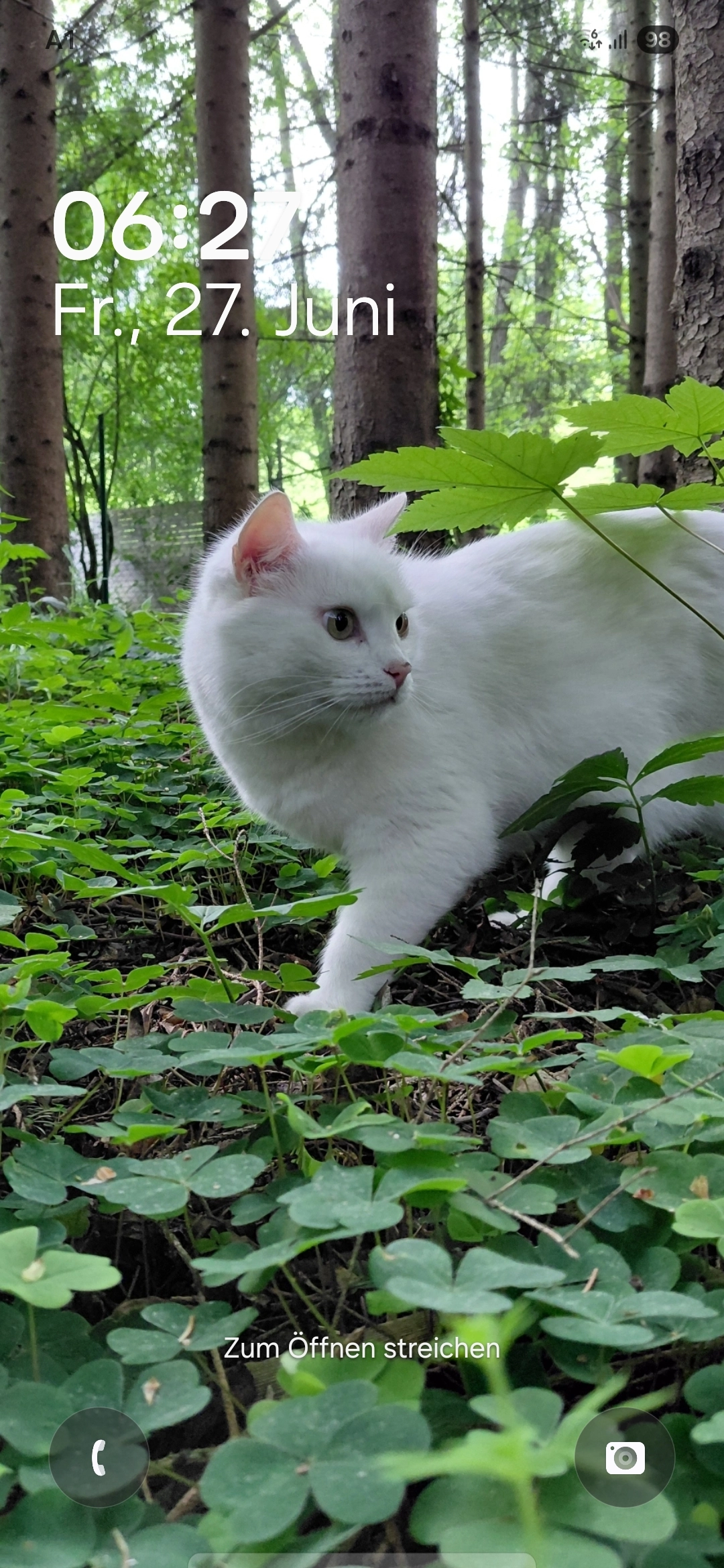 Gloria  - Brettwieserstraße 40, Tullnerbach