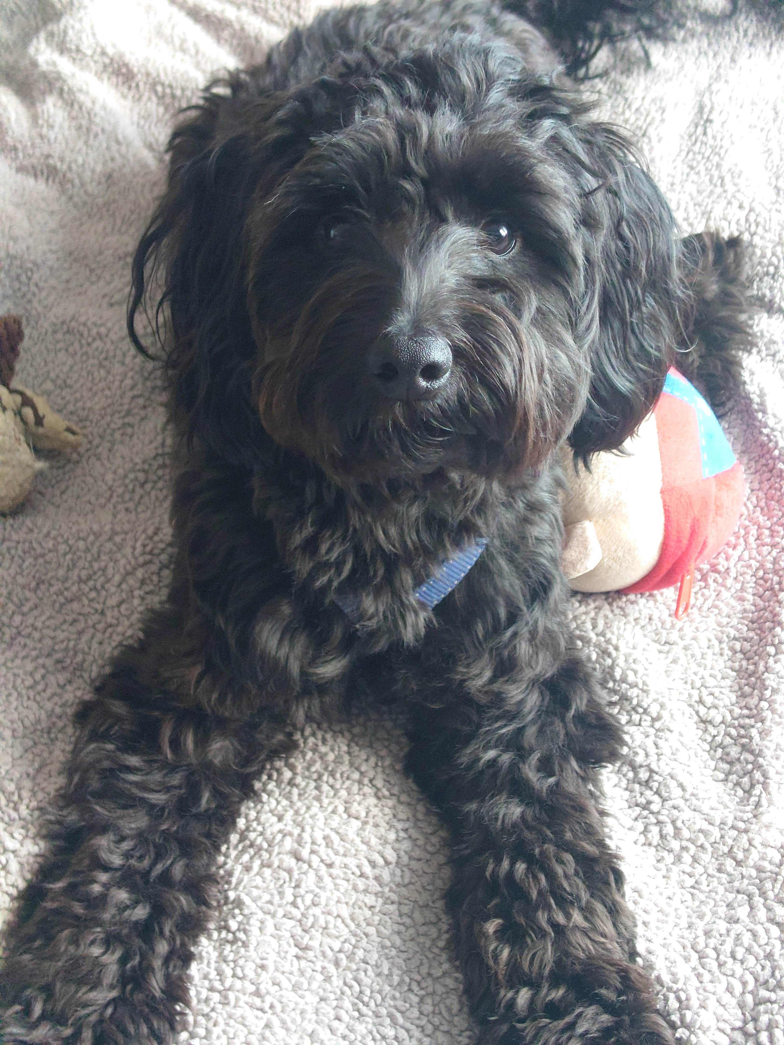 Bonus  - NR31 9, Great Yarmouth