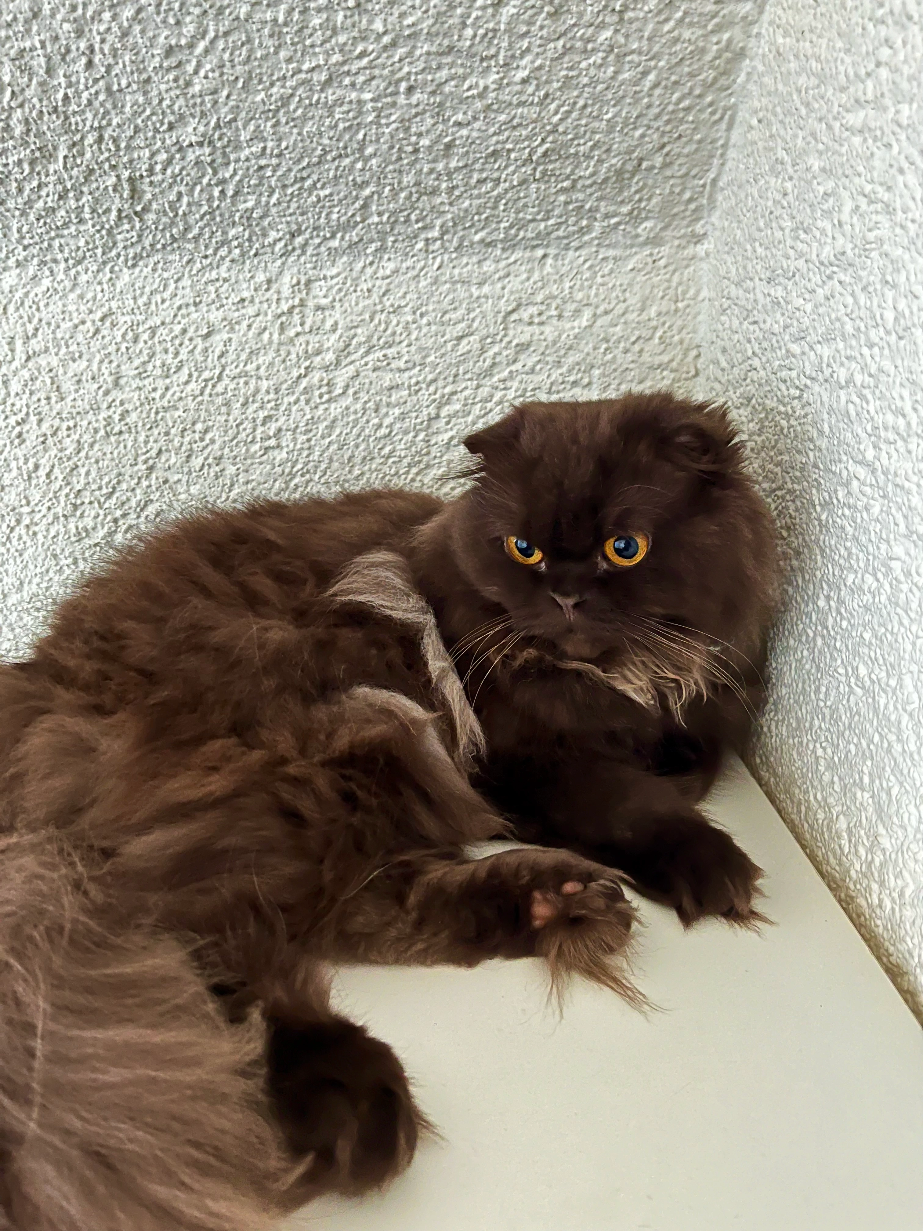 Boncuk - Gutenbergstraße, Eisenberg