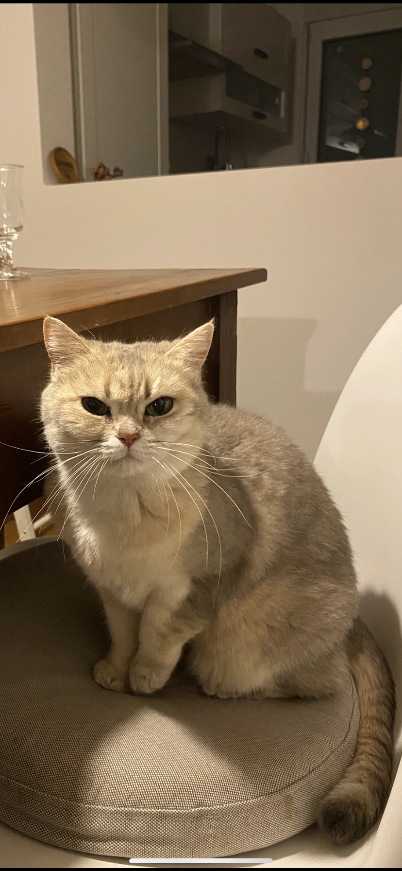 Nala - Am Zippen, Dortmund