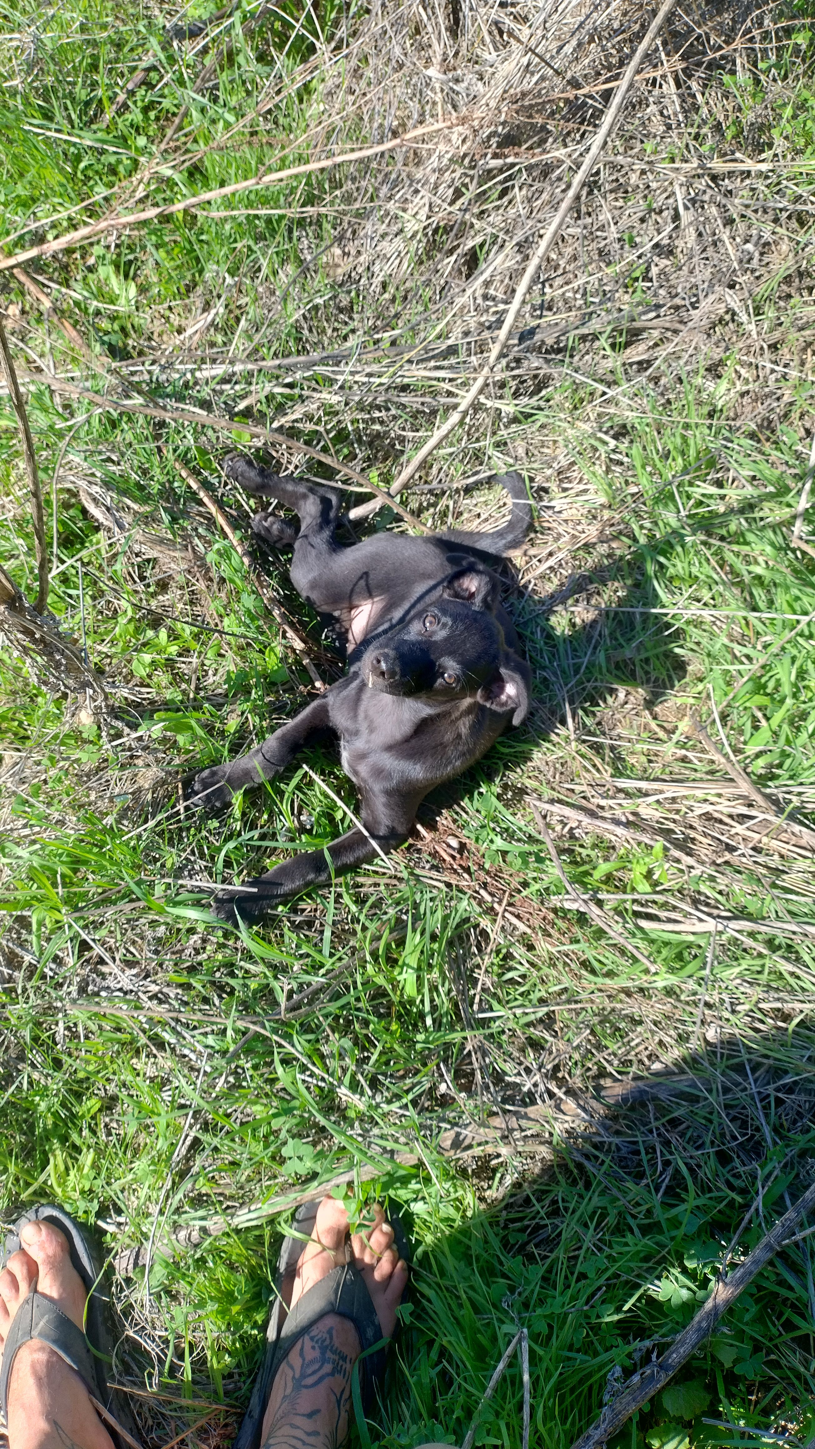 Amora - Rua Principal, Freiria