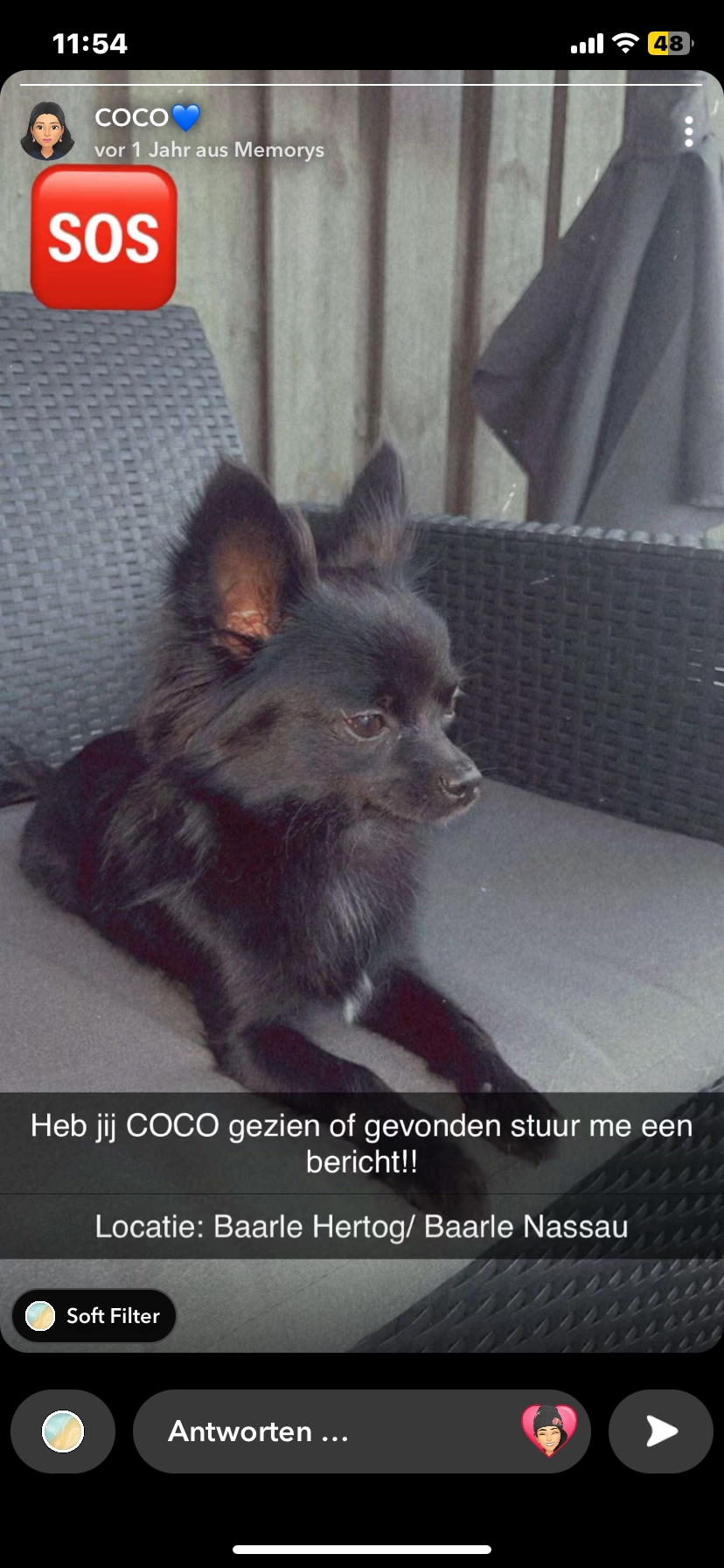 Coco - Hertogenstraat, Baarle-Hertog