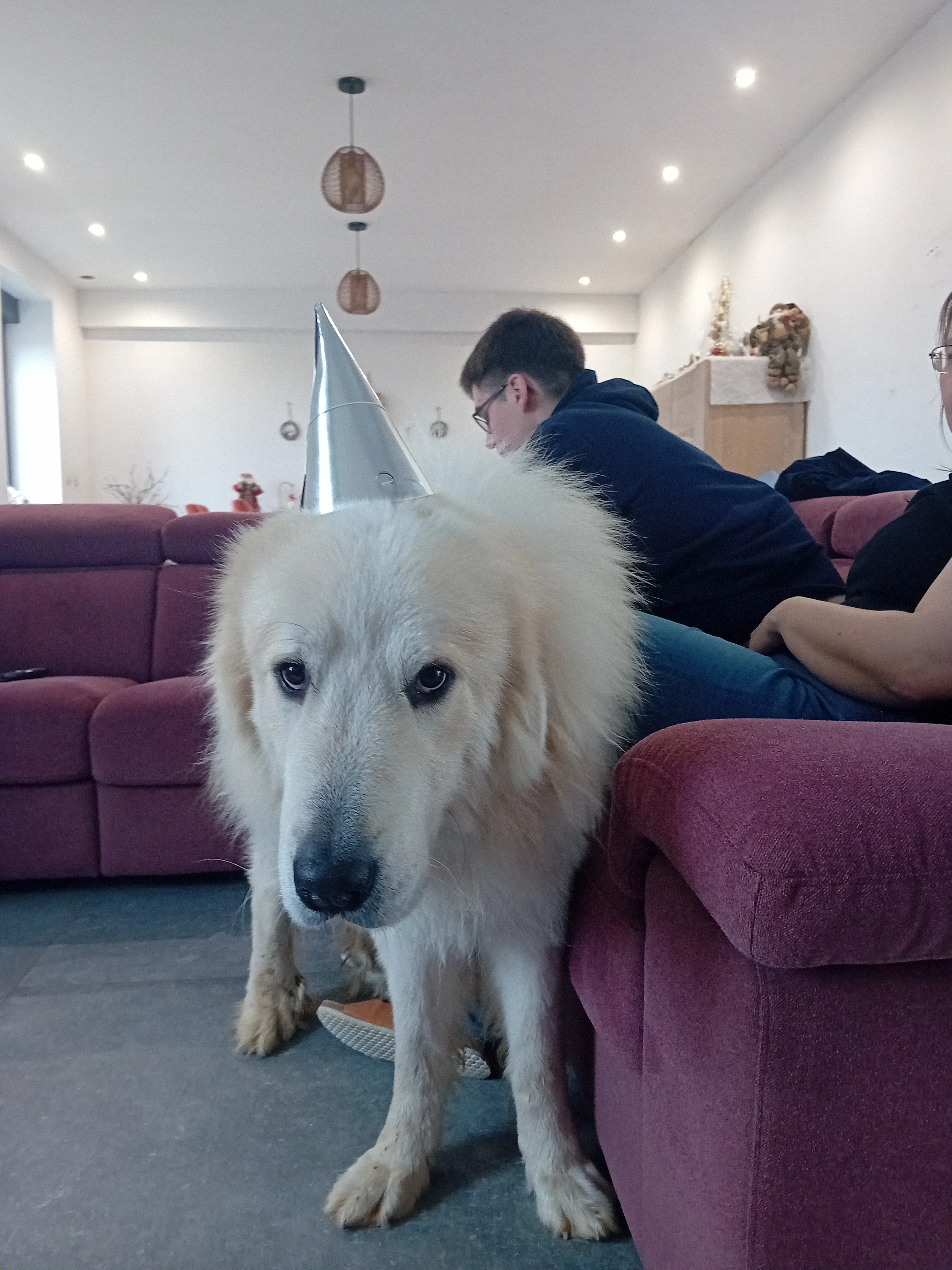 Balou - Rue du Bois, Quévy