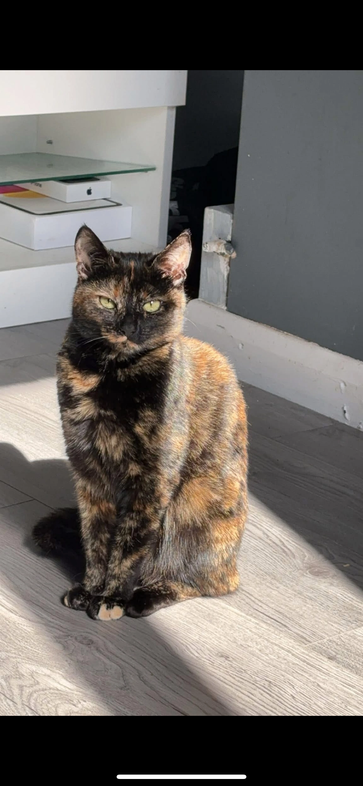 Musty - CA2 4, Carlisle