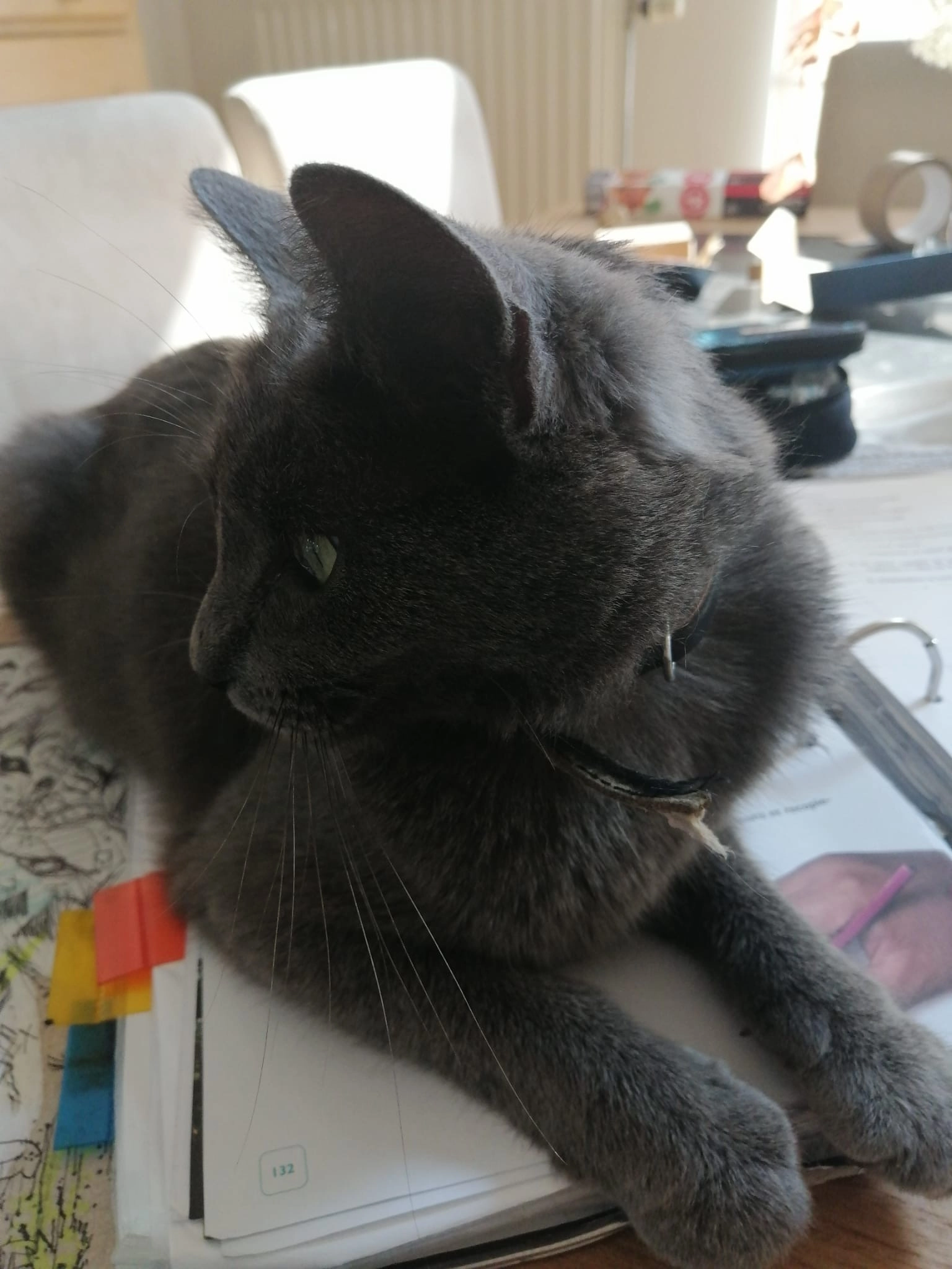 Papouille - Route de Malmedy, Stavelot