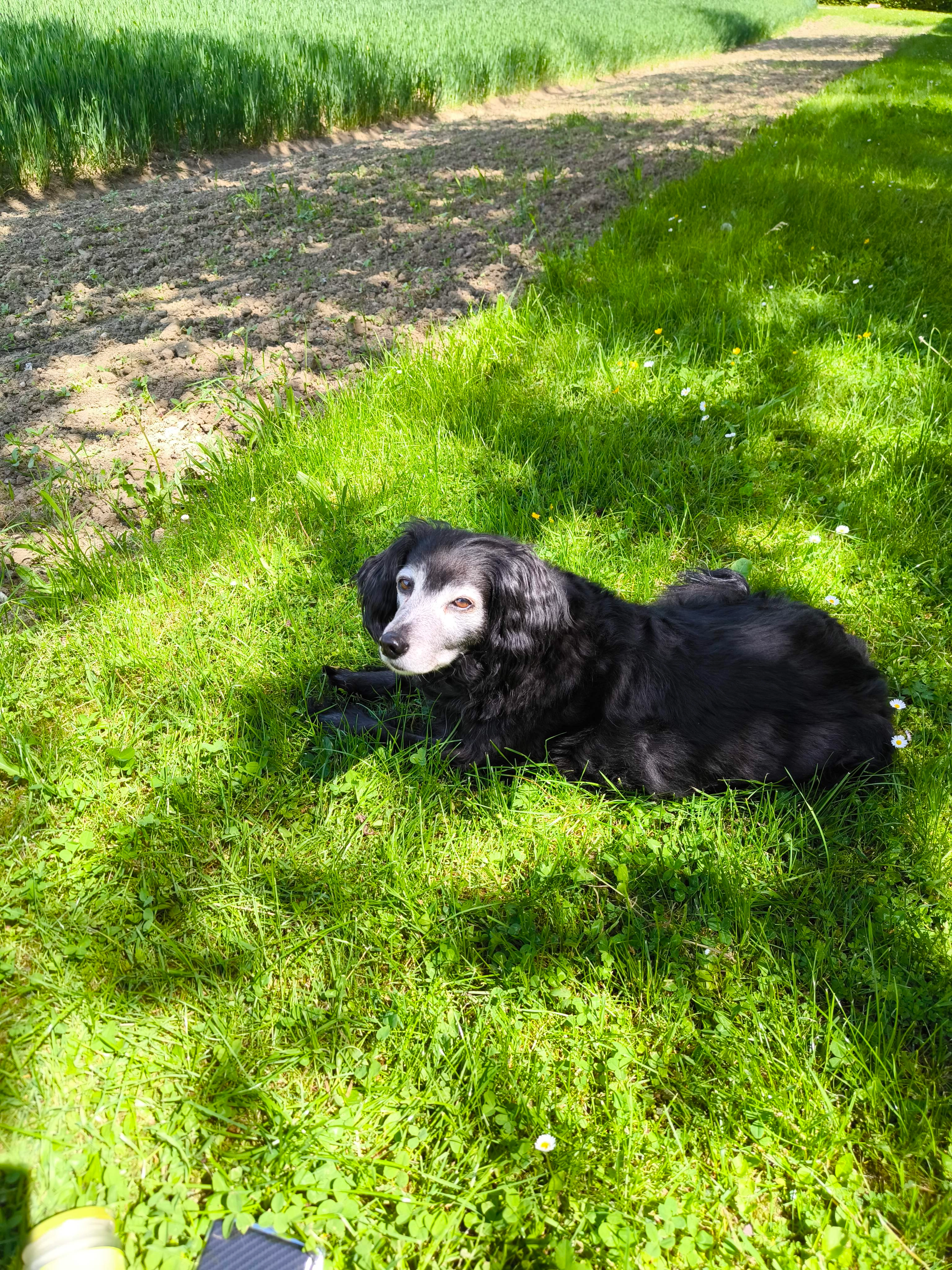 Sarah  - Hart 15, Leonding