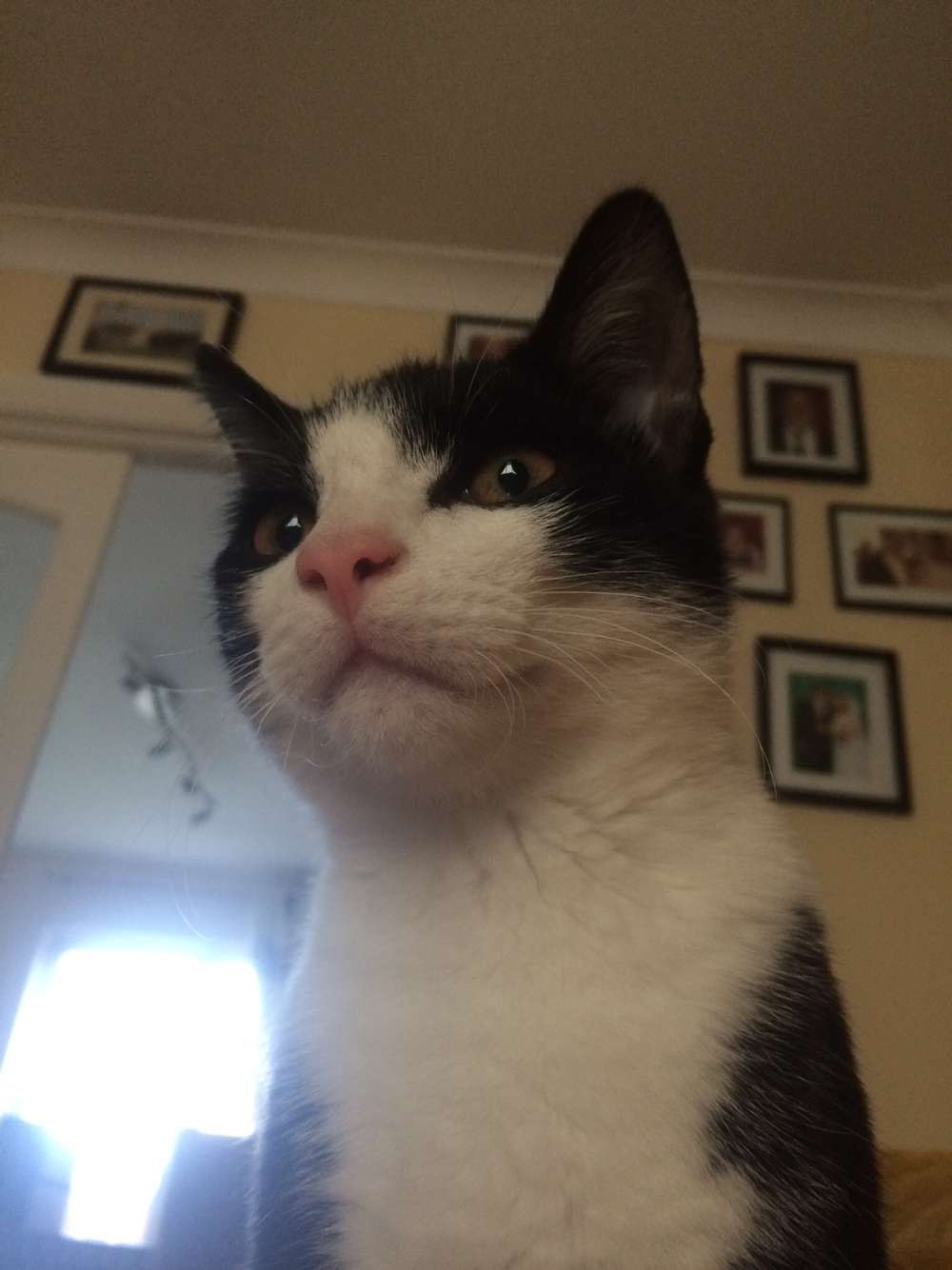 mar - Triogue Manor, Portlaoise