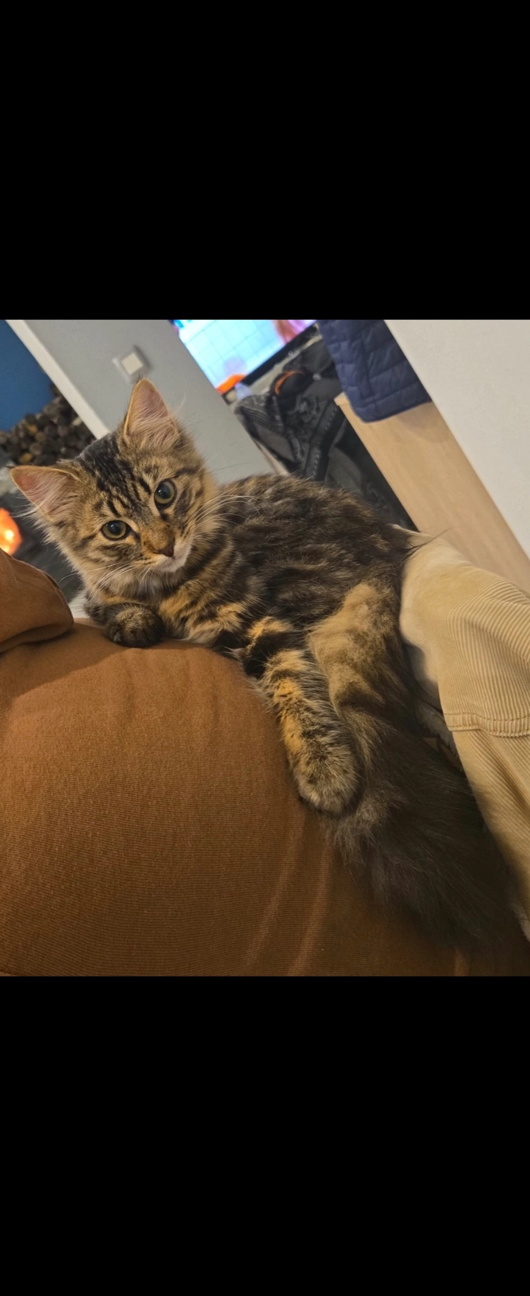 Nyna - Rue de l'Église, Moyencourt