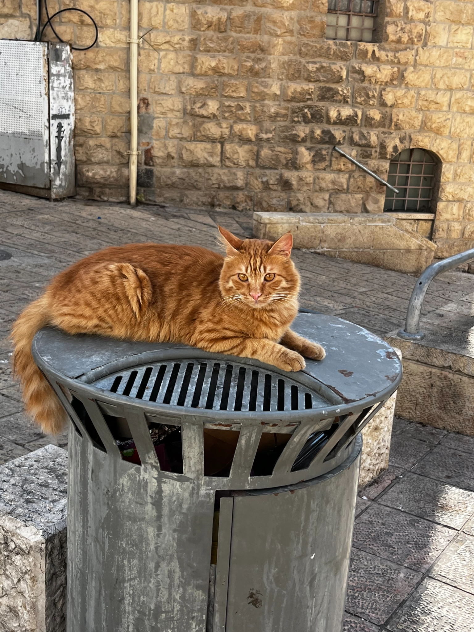 Mango - Yosef Chaim Street, Jerusalem