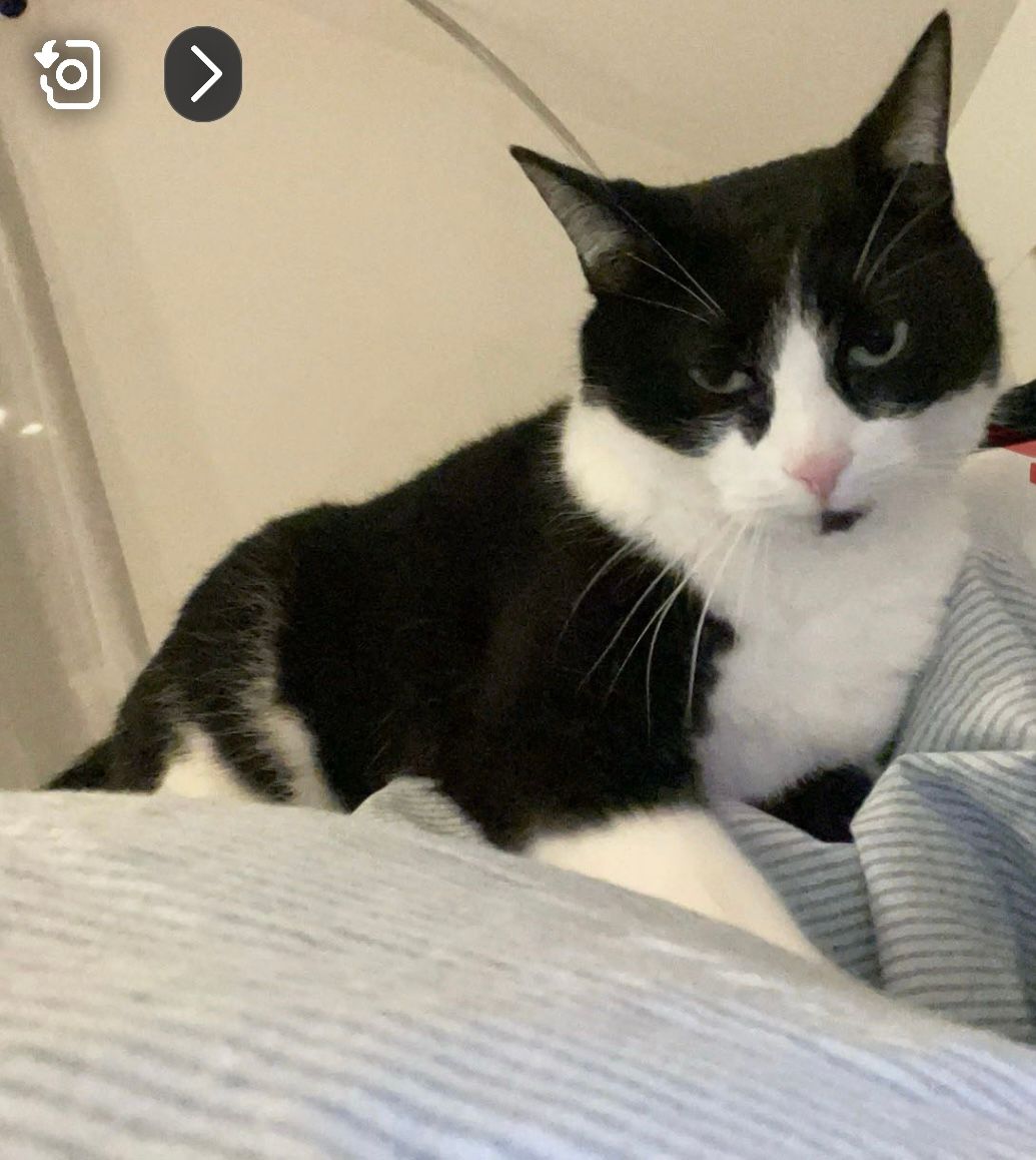 Heidi - Brentanostraße, Leer