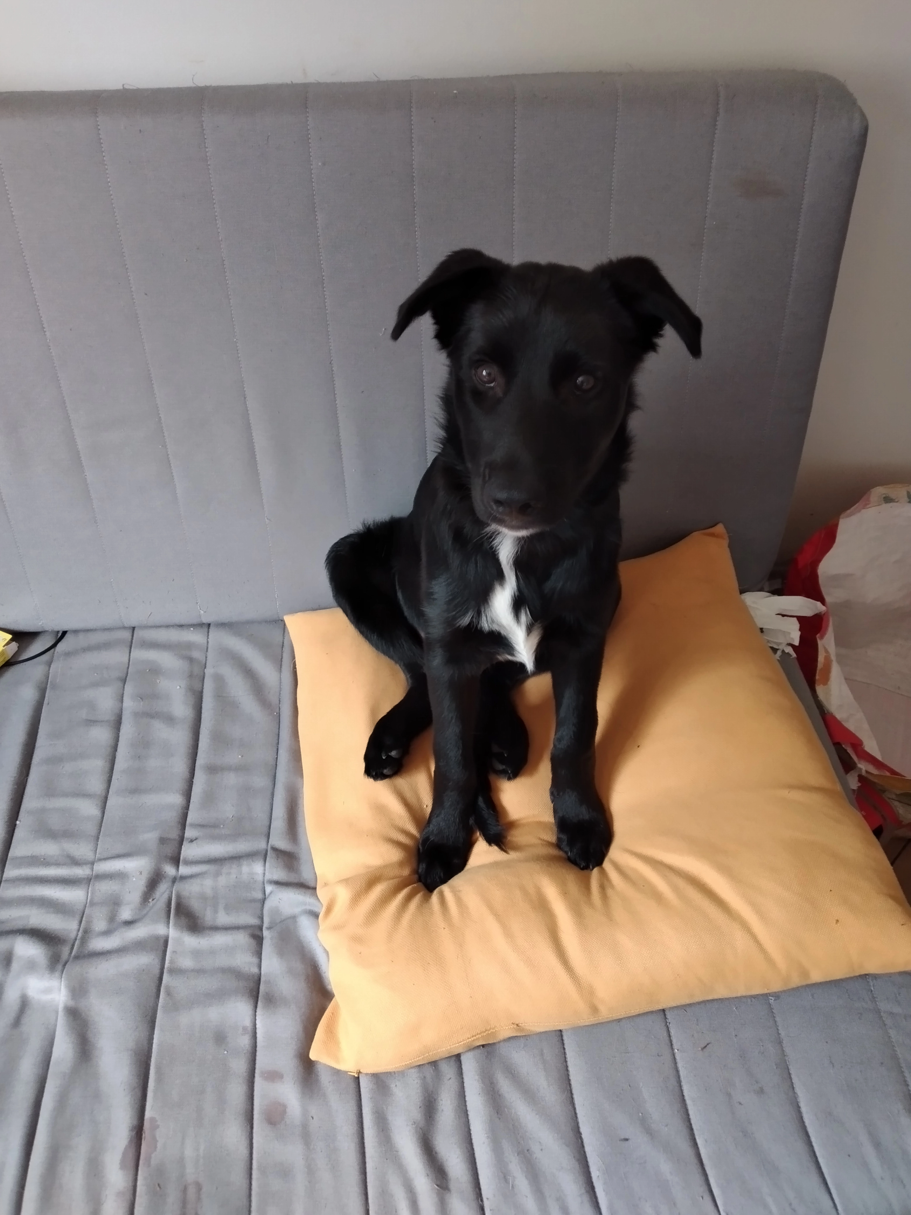 Spiky - Rue de l'Église, Rousset