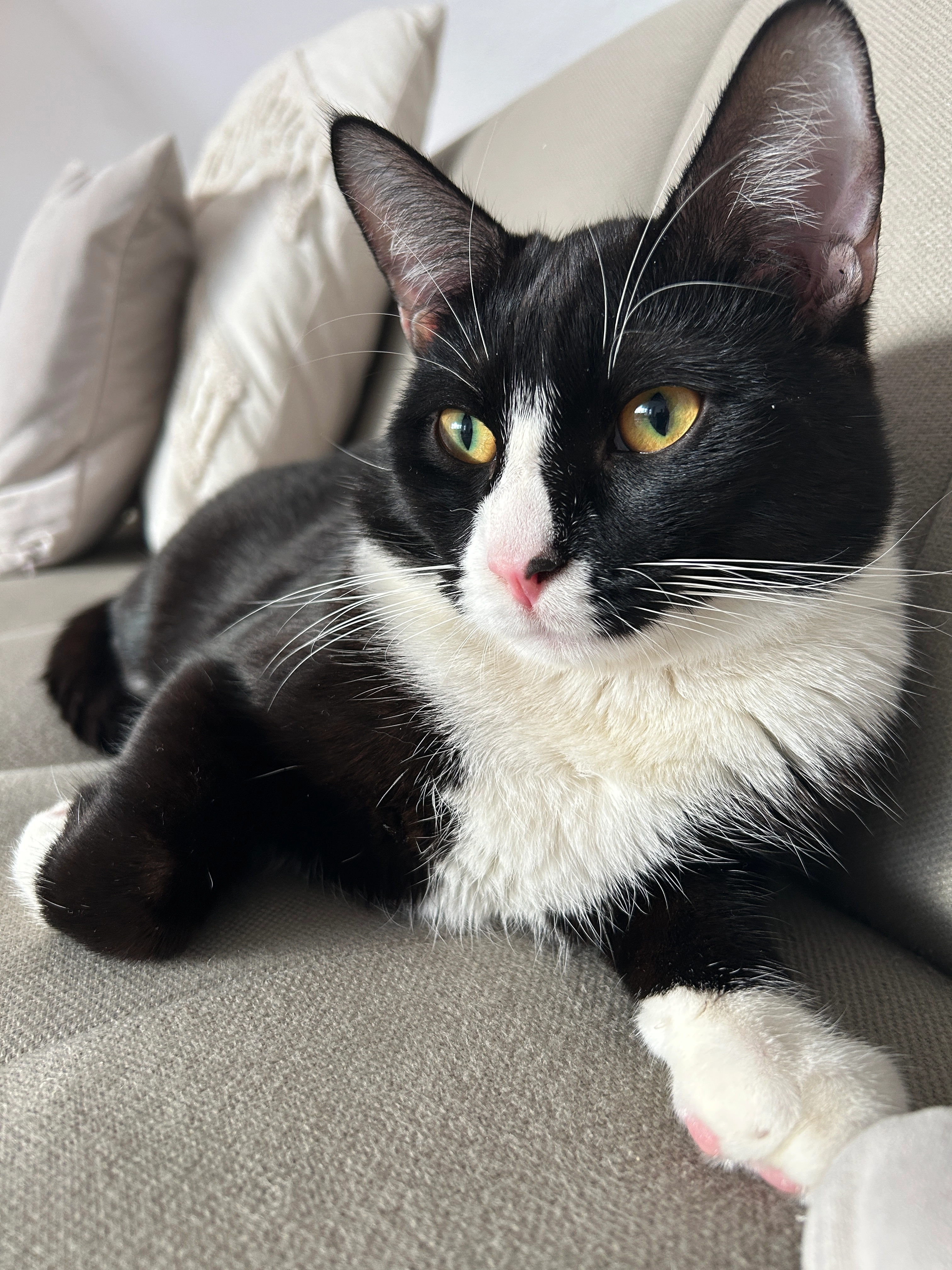 Lokum - Eisenindustriestraße, Schwerte