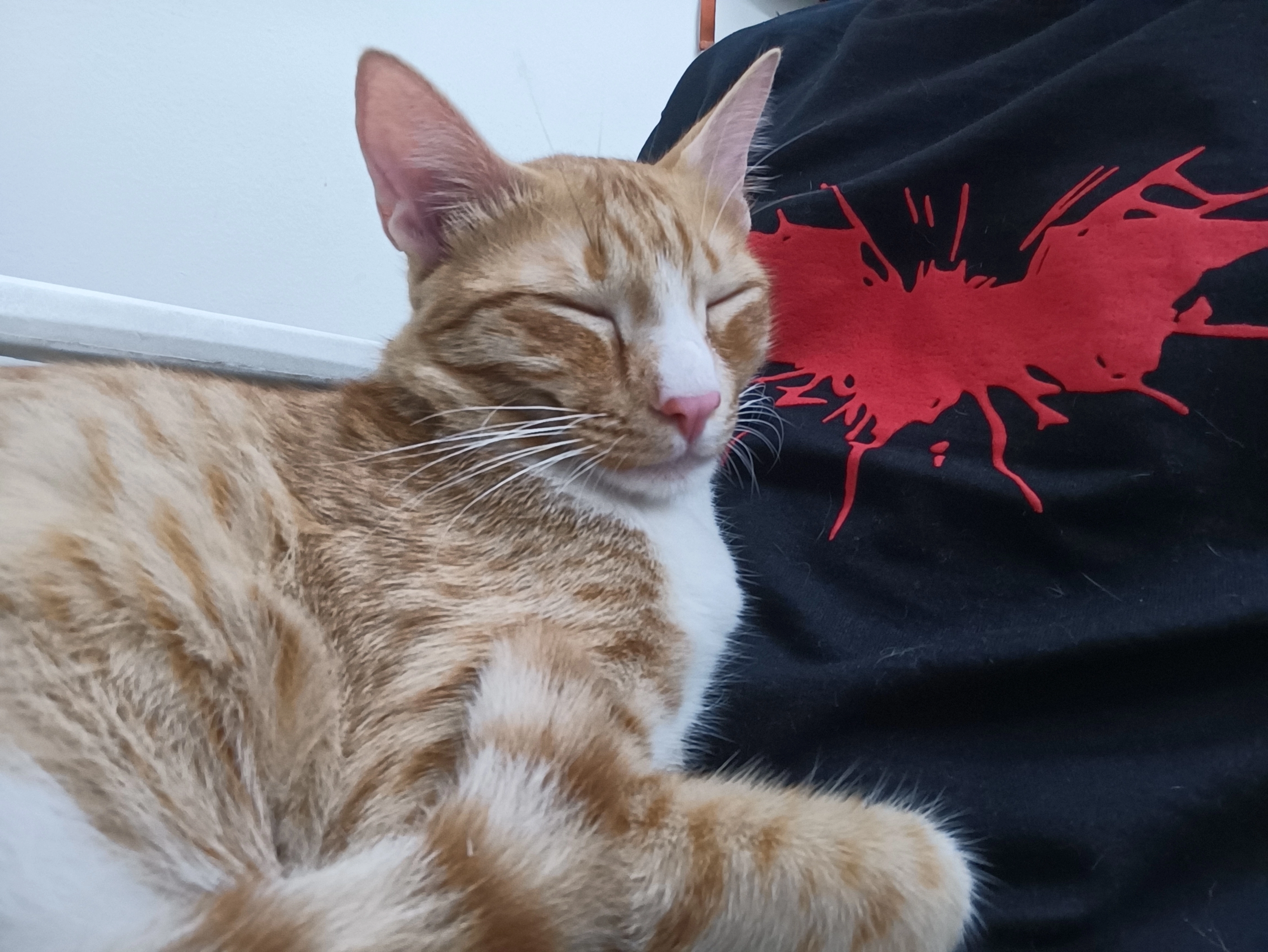 Caspur  - Vighnaharta Chowk, Pashan - Sus road , Pune