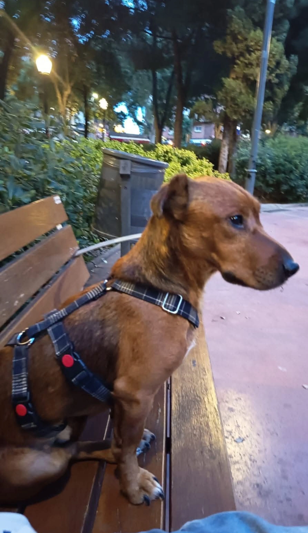 Kennet - Carrer de Palomar, Barcelona