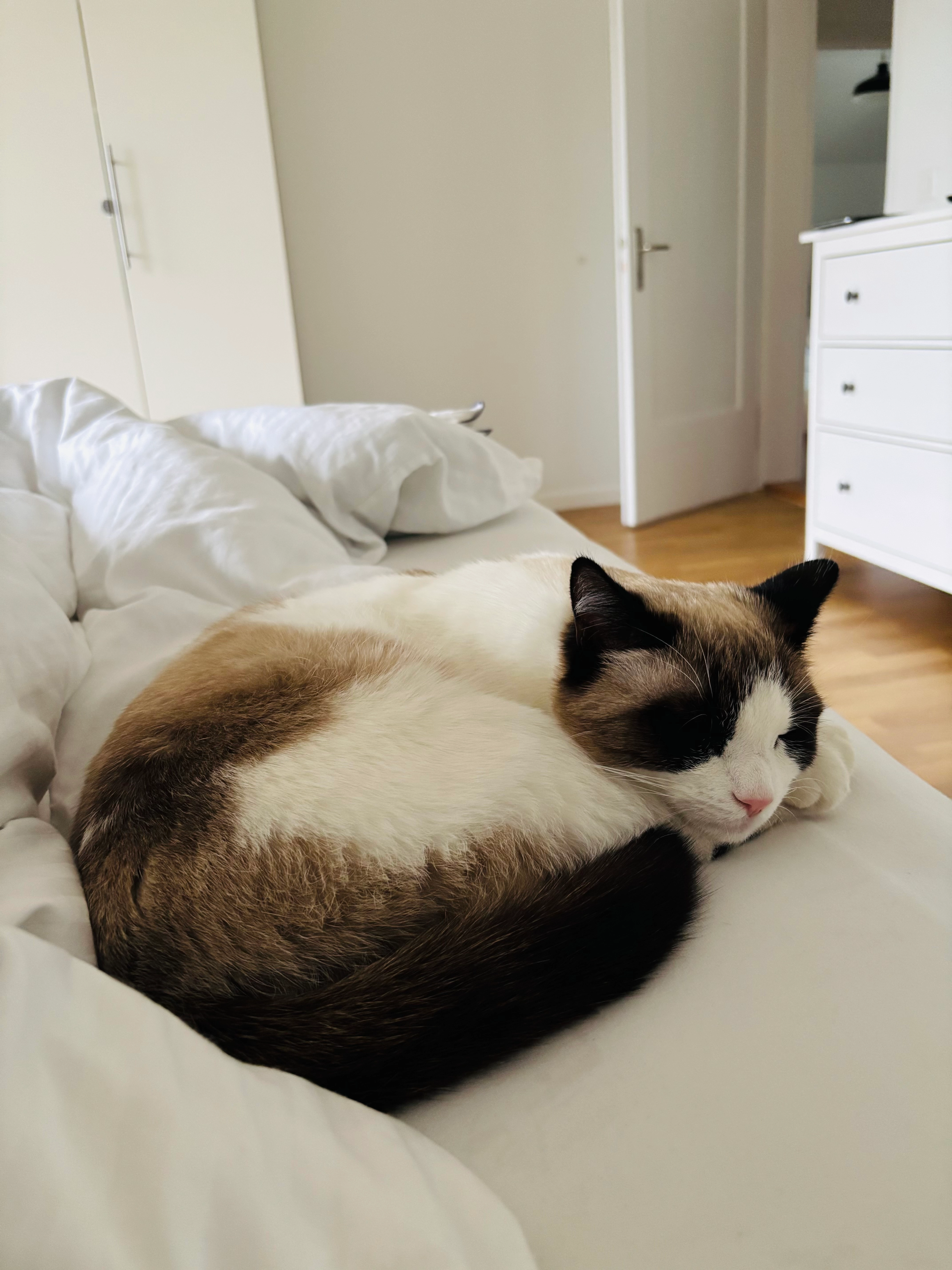 Tepsi - Fünfeichenweg, Bettingen