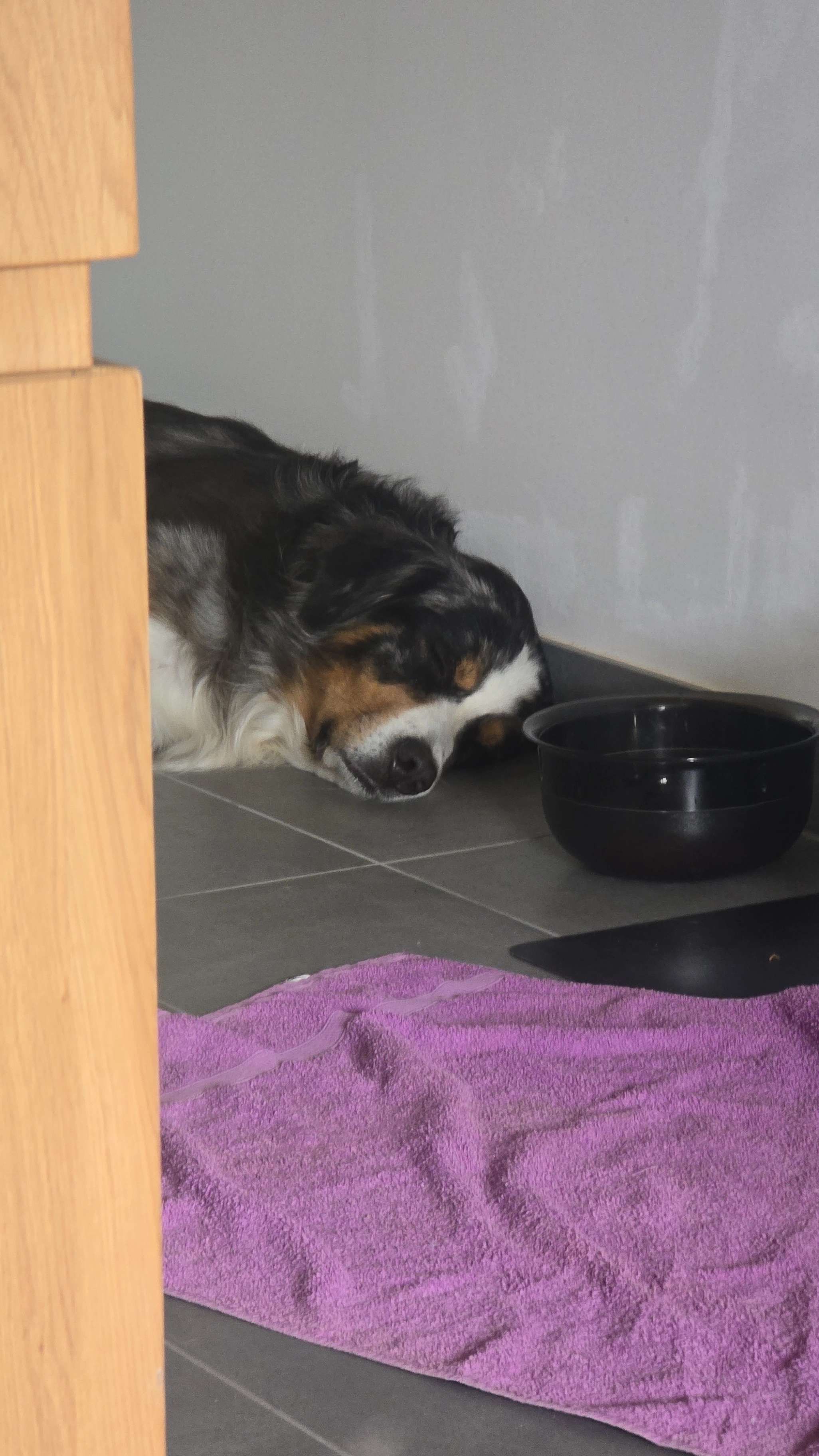 Bailey - Hernsteinerstraße, Enzesfeld-Lindabrunn