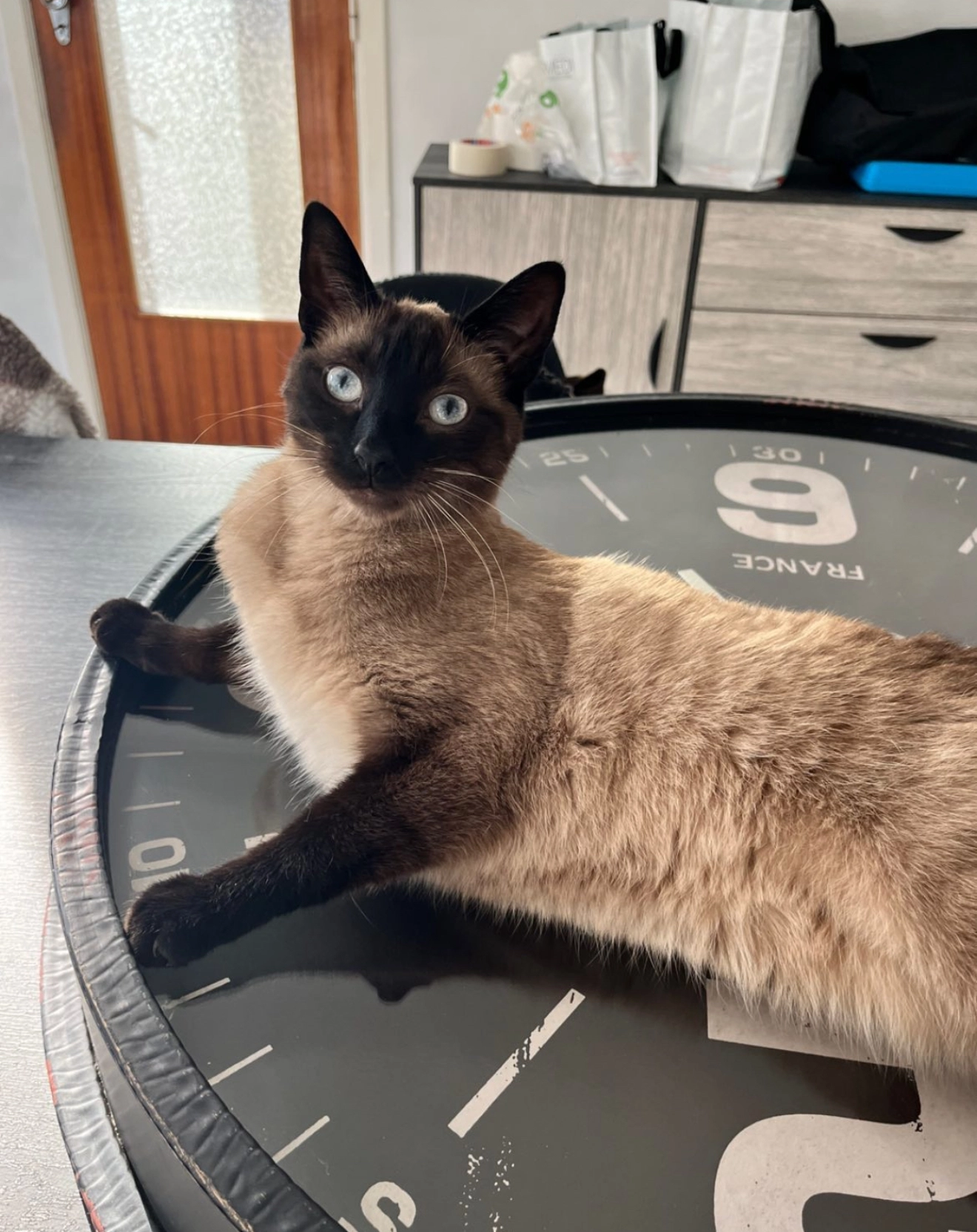 Astro - Pierre Sorellaan , Koksijde