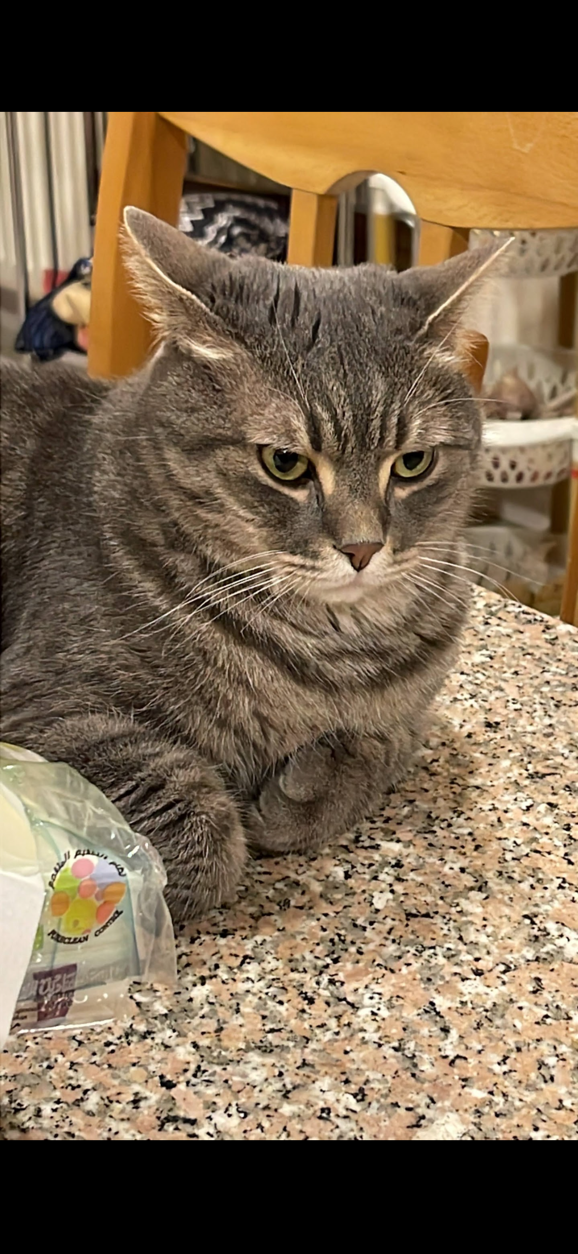 shadow - Aljandaweel near 8th circle, Amman 